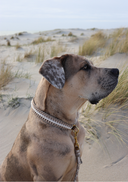 Bonez Lieblingssets