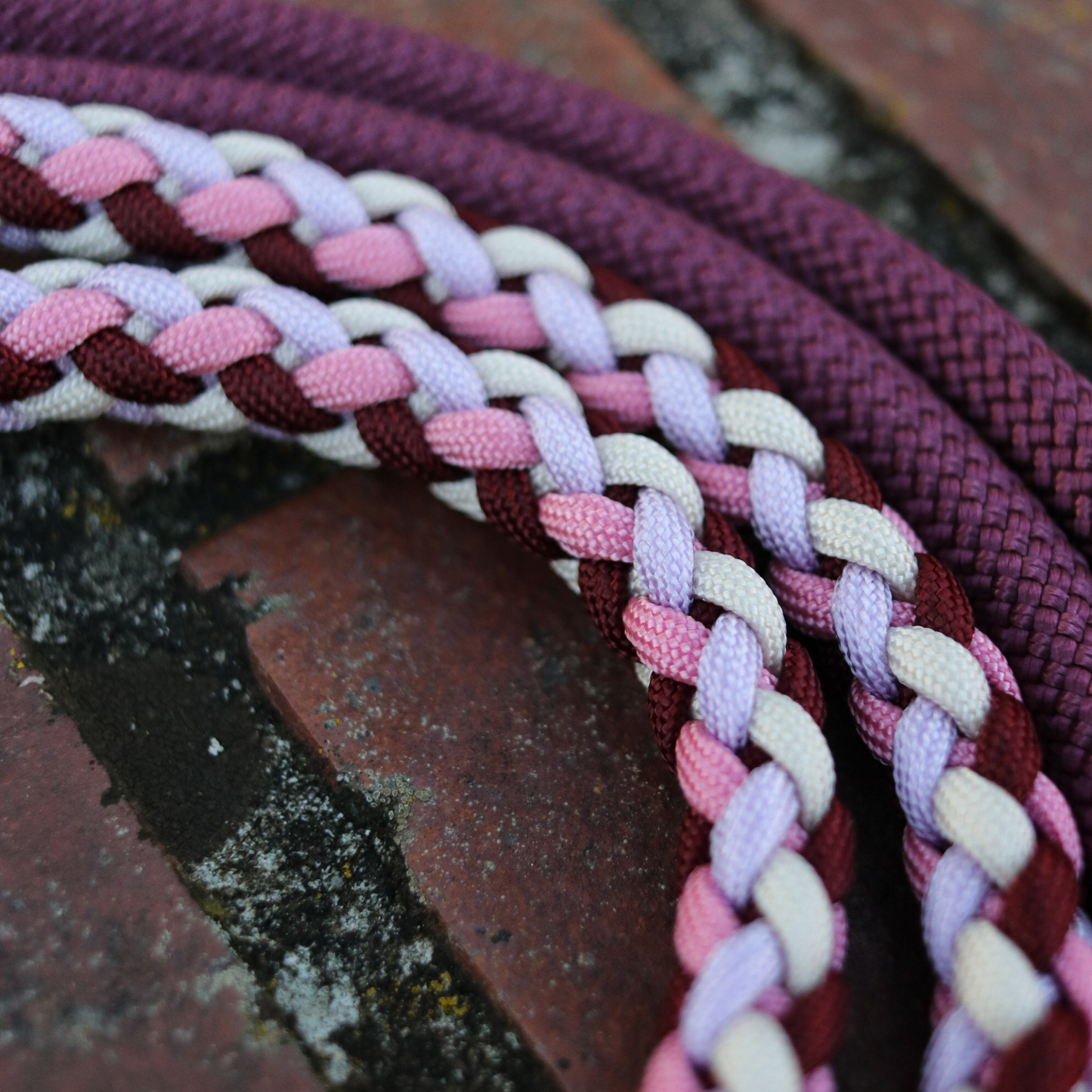 Paracord/Tau Leine "Gaucho" in Dunkelrot und Rosa