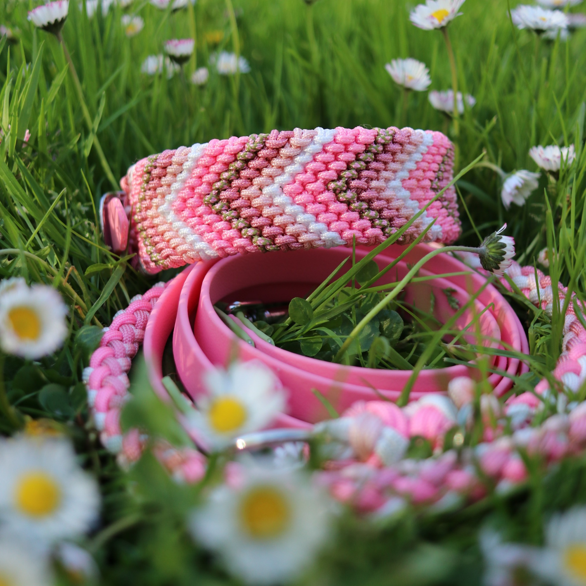 Paracordhalsband "Freundschaft" in Rosa und Grün