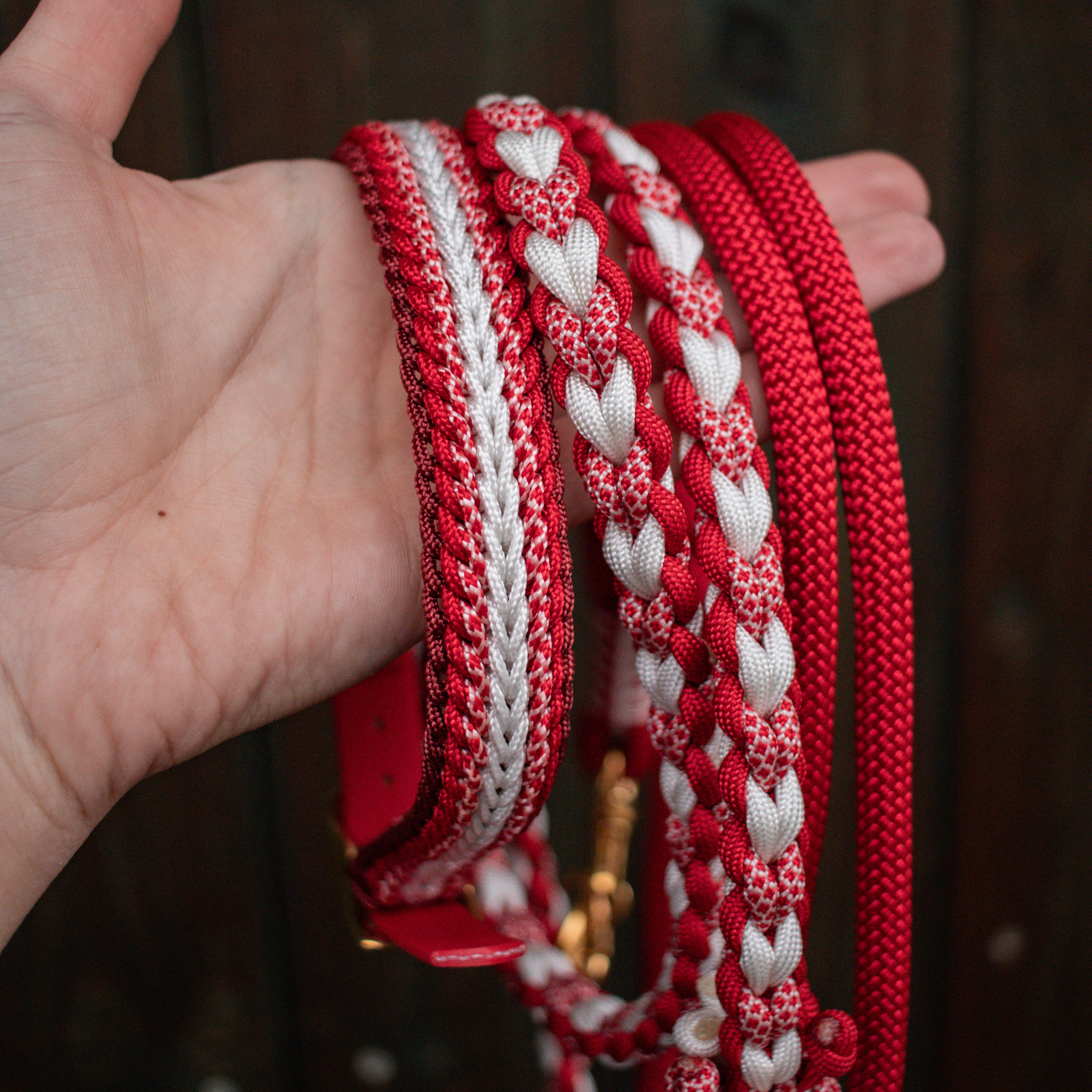 Paracordhalsband "Shining" Typ 1 in Rottönen