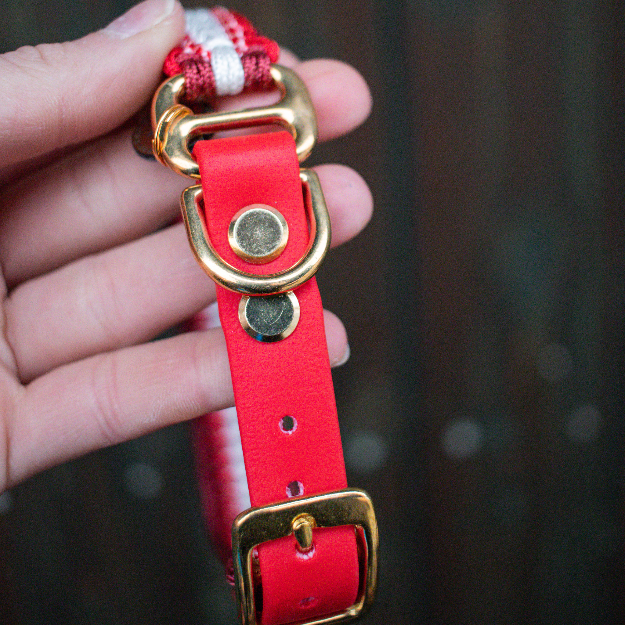 Paracordhalsband "Shining" Typ 1 in Rottönen