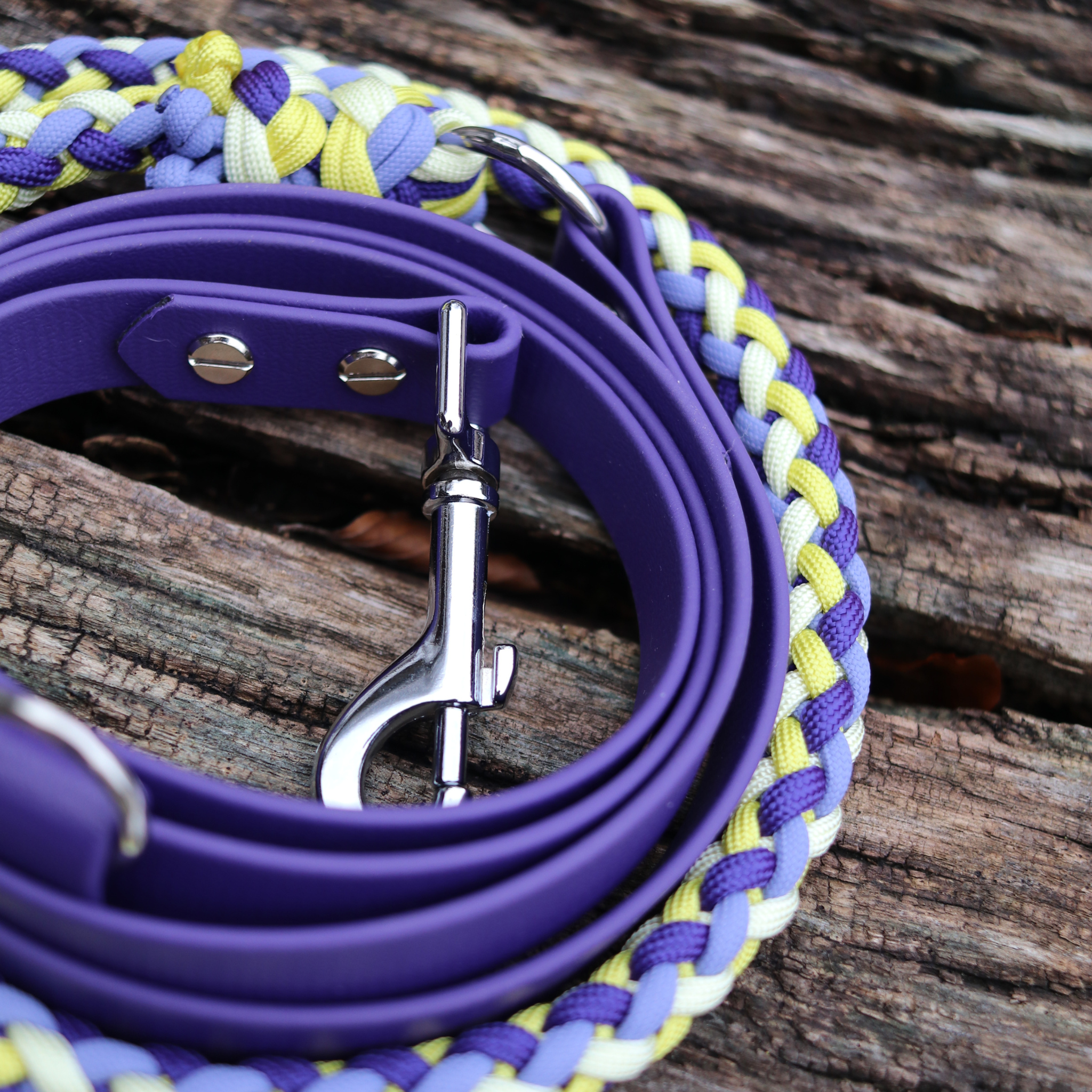 Brunos Frühlingskrokus