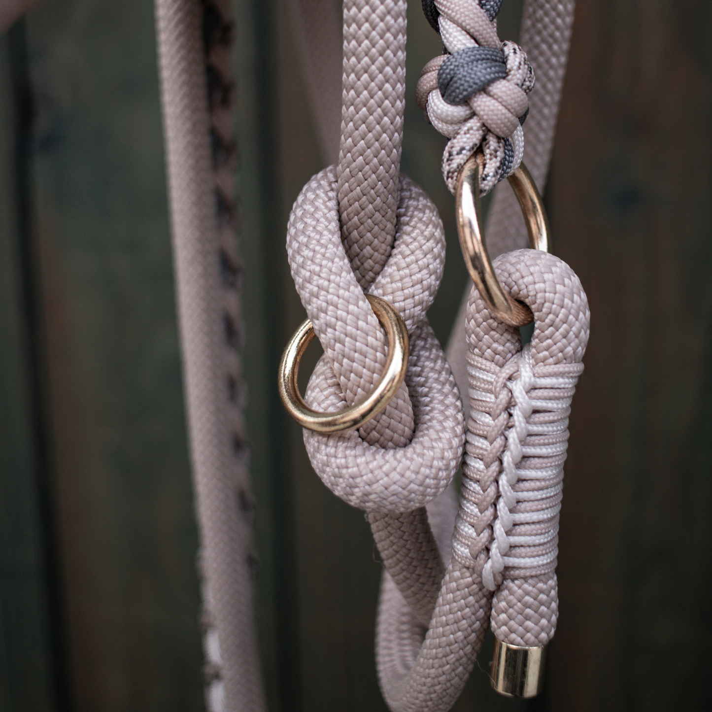 Paracord/Tau Leine in Beige und Grau