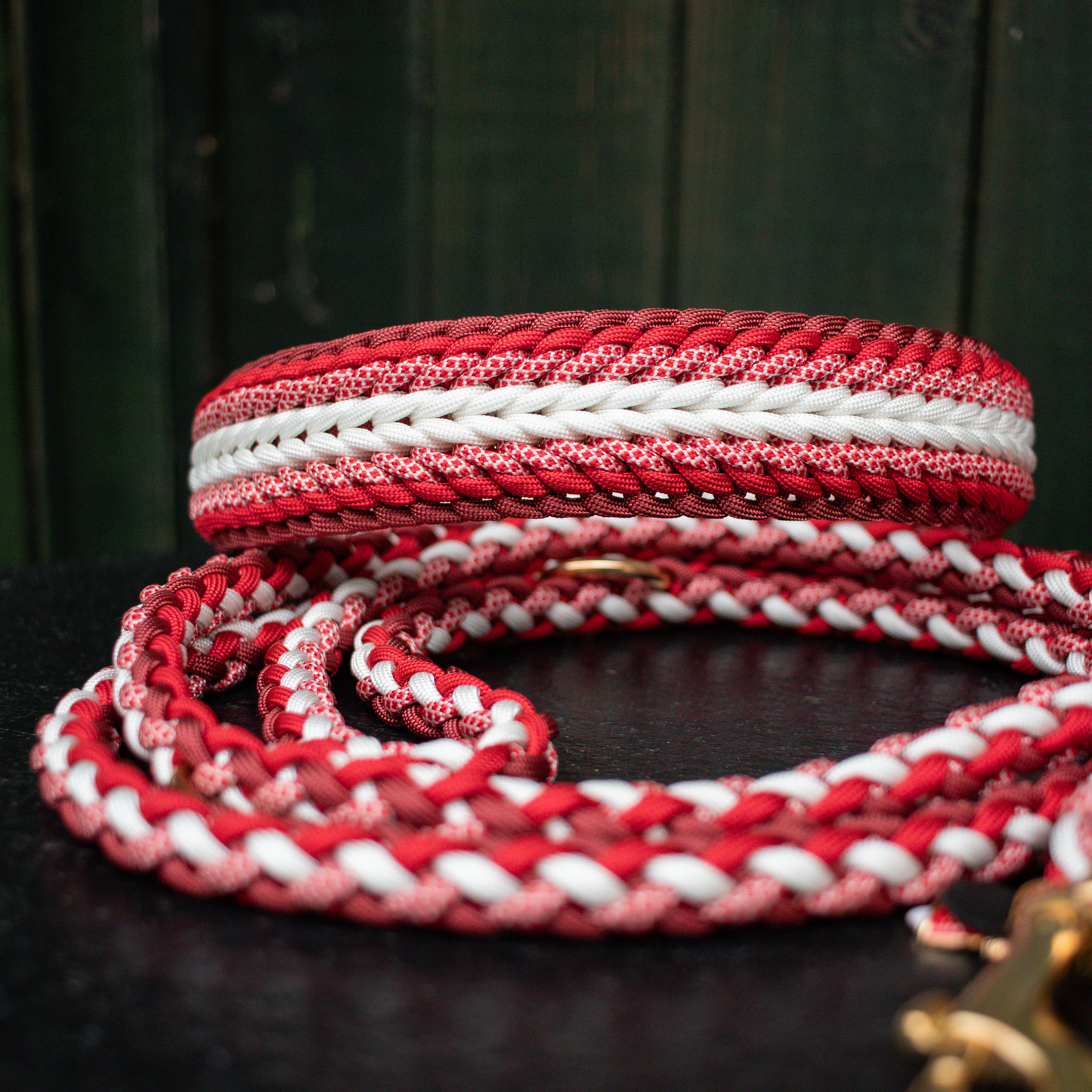 Paracordhalsband "Shining" in Rottönen