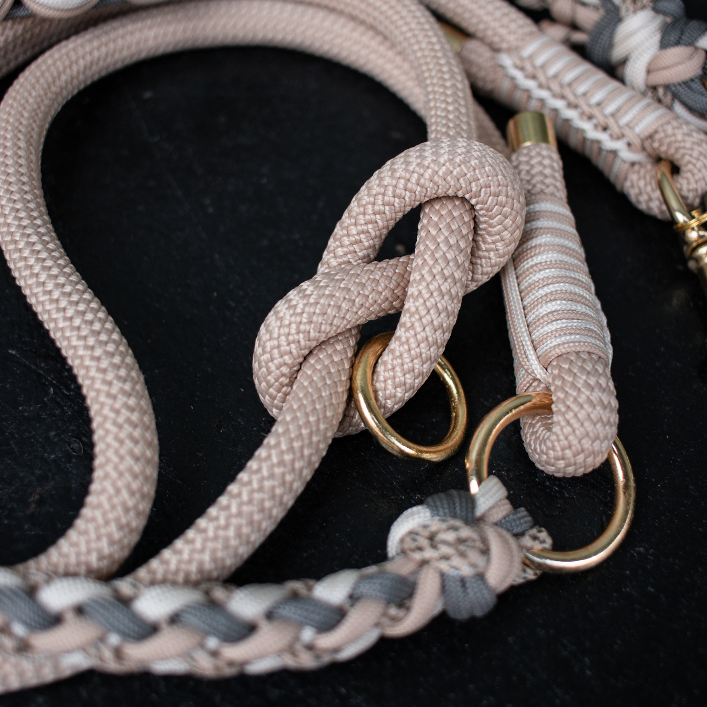 Paracord/Tau Leine in Beige und Grau