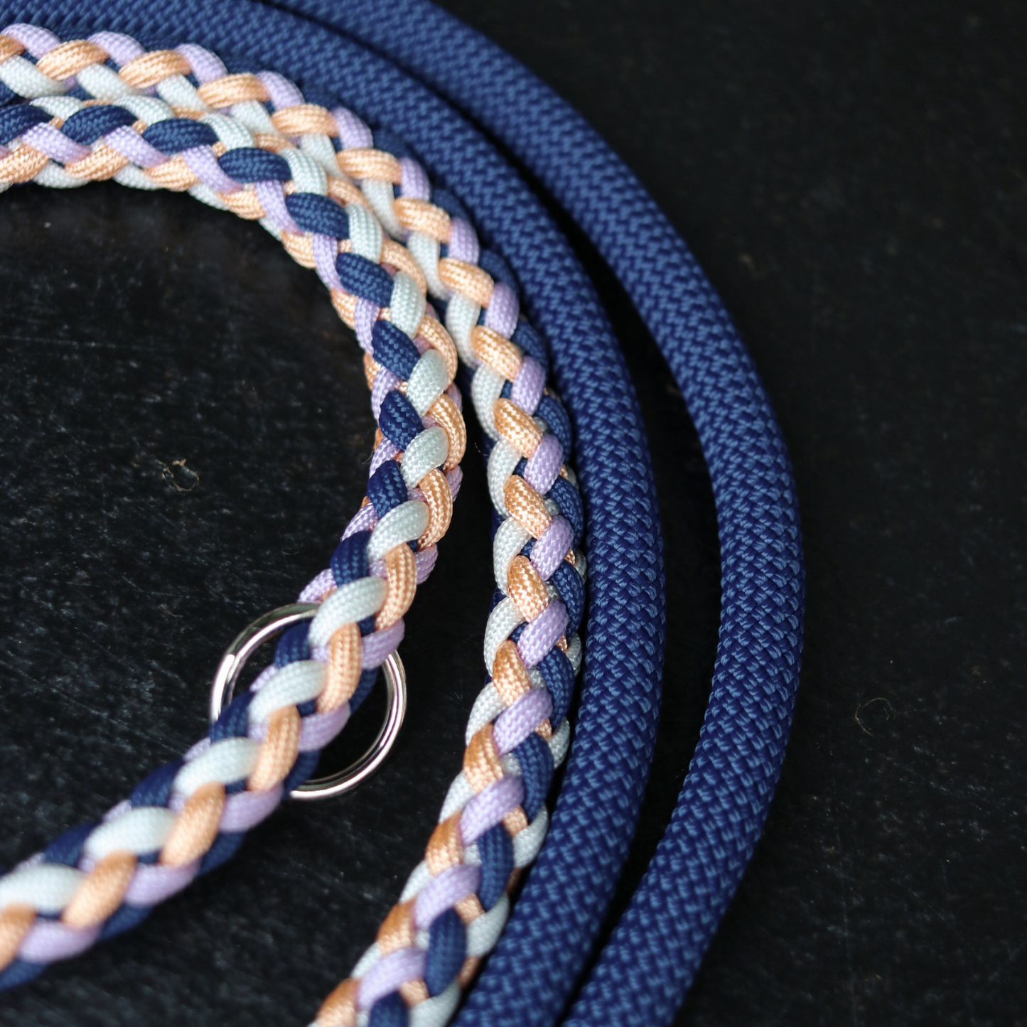 Paracord/Tau Leine in Blau und Lila