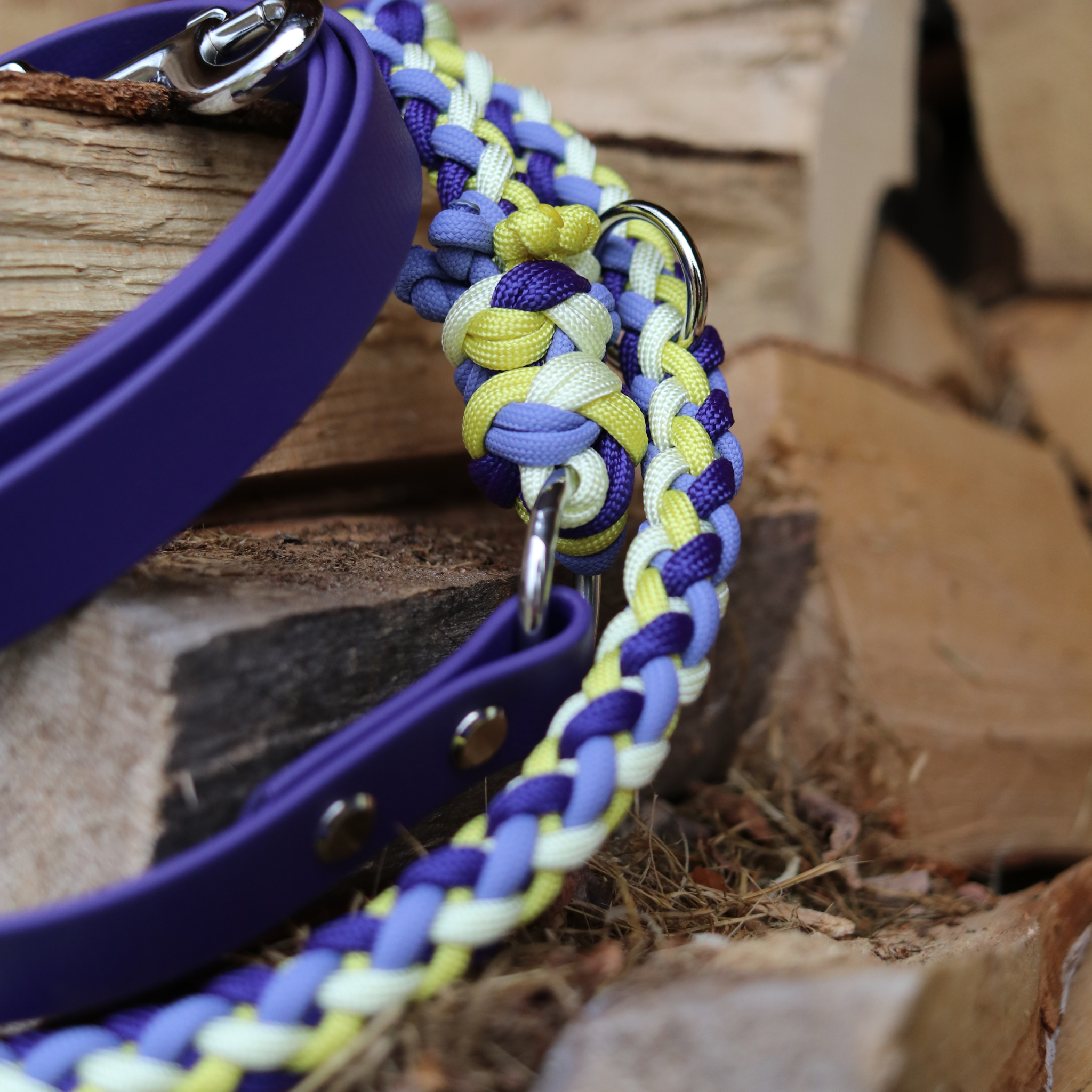 Brunos Frühlingskrokus