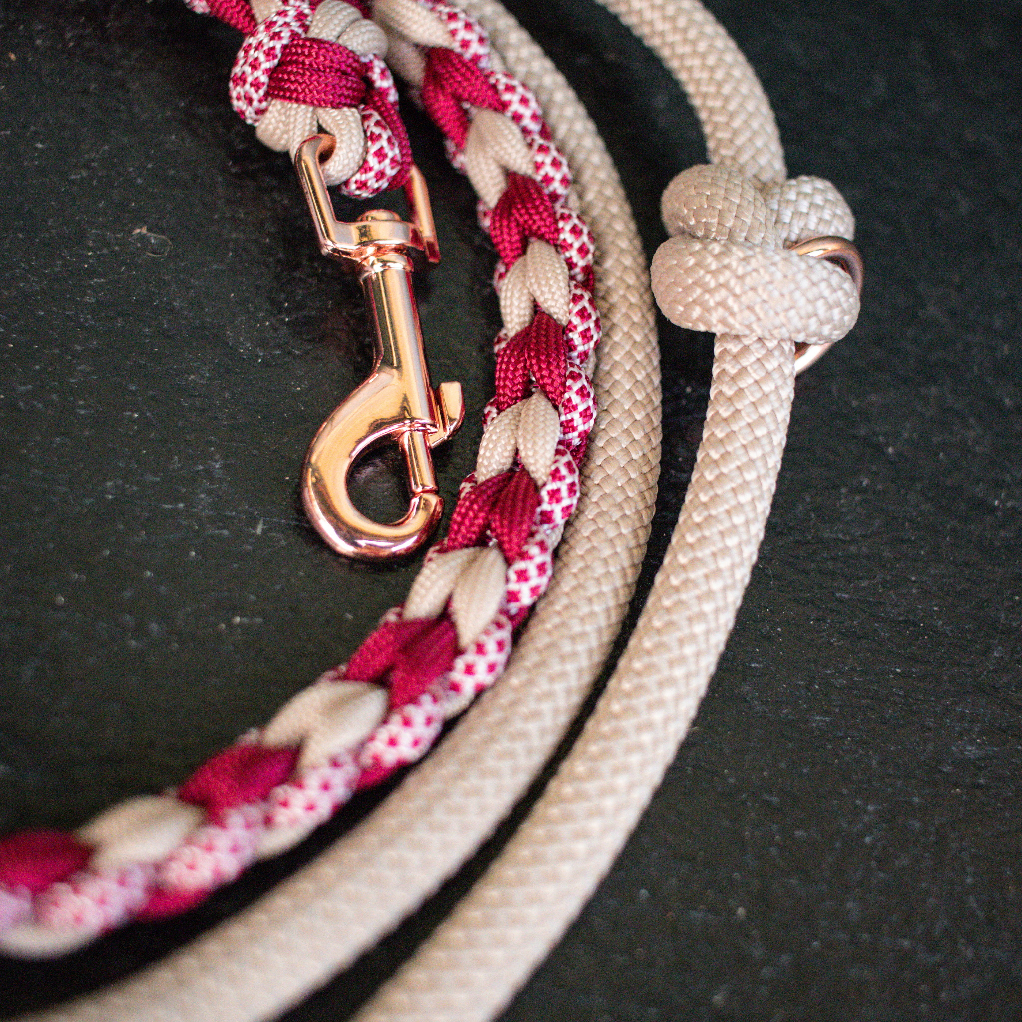 Paracord/Tau Leine für kleine Hunde in Beige und Weinrot