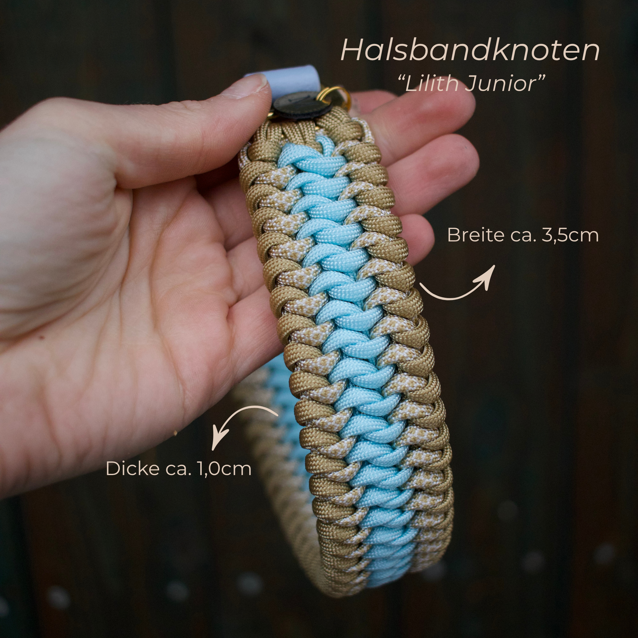 Wunschkombination #46