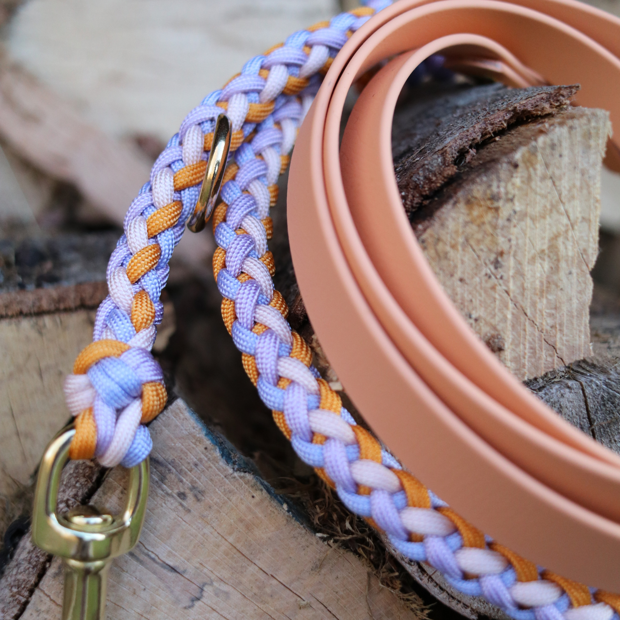 Fines Aprikosenhimmel