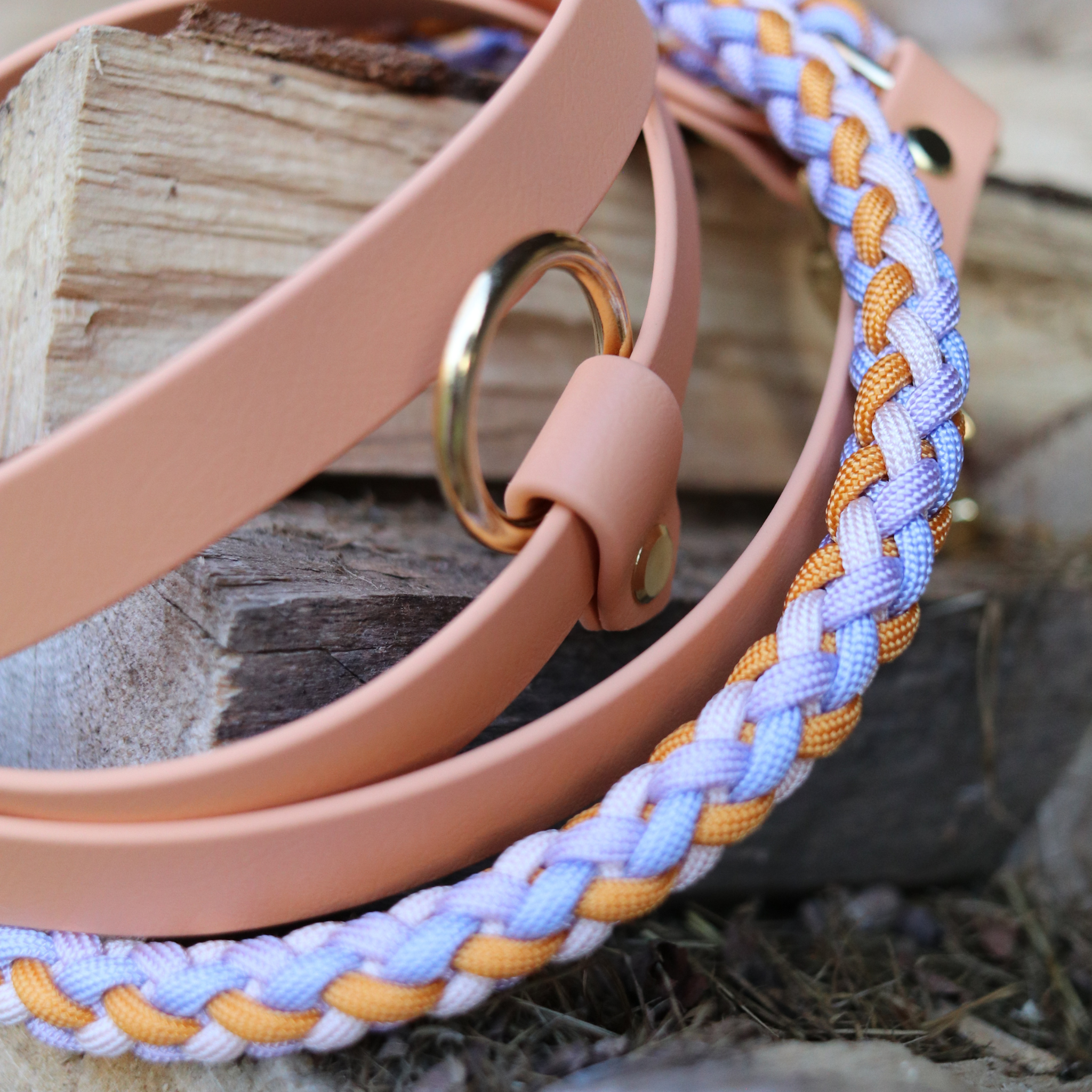 Fines Aprikosenhimmel