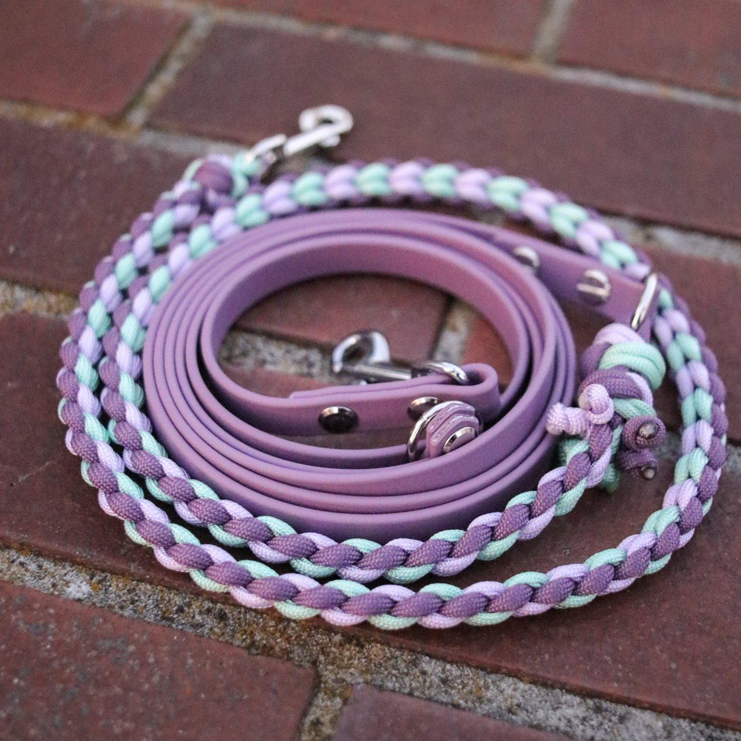 Paracord/Biothane Leine für kleine Hunde in Foggy und Lila