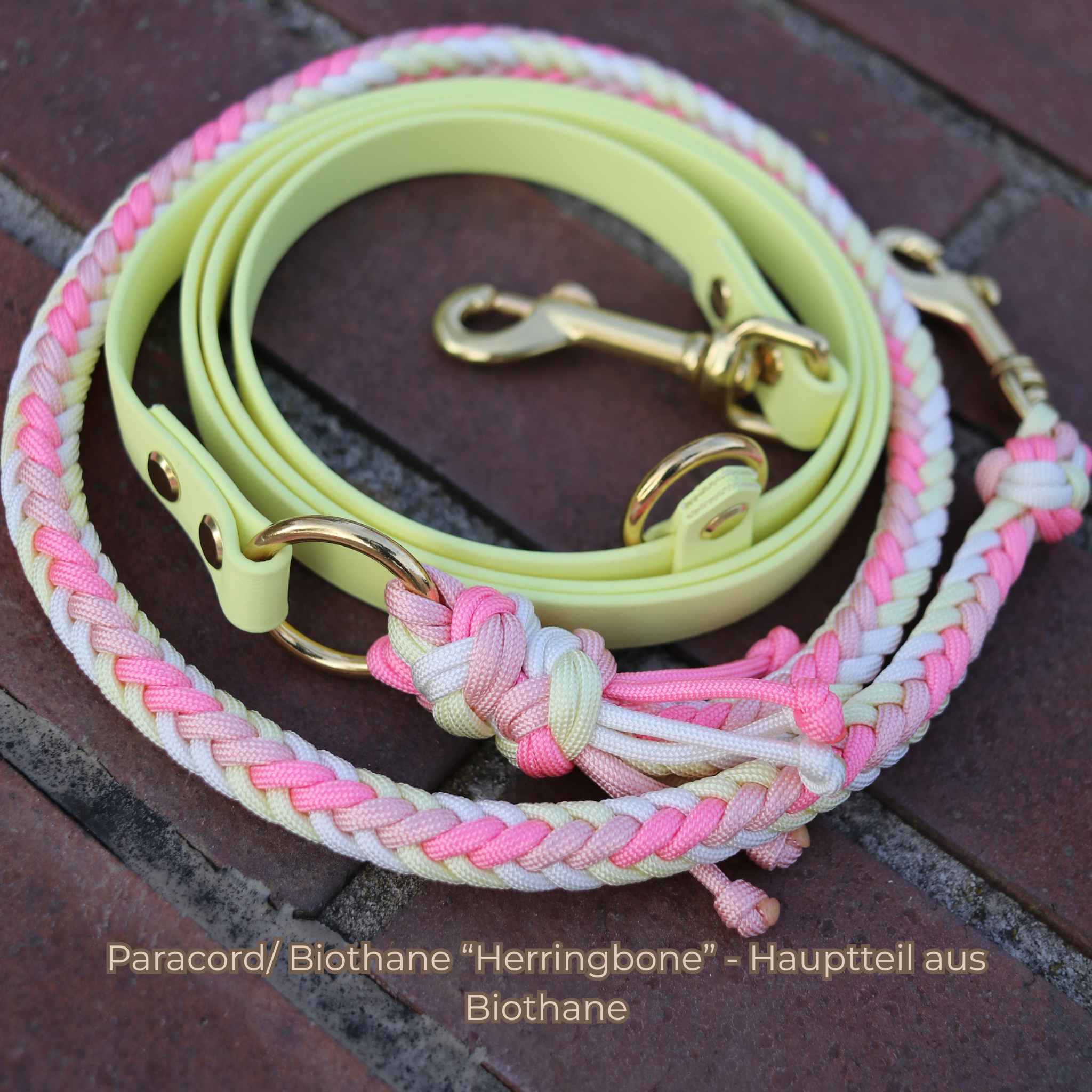 Sei Kreativ - Paracord/Biothane Leine