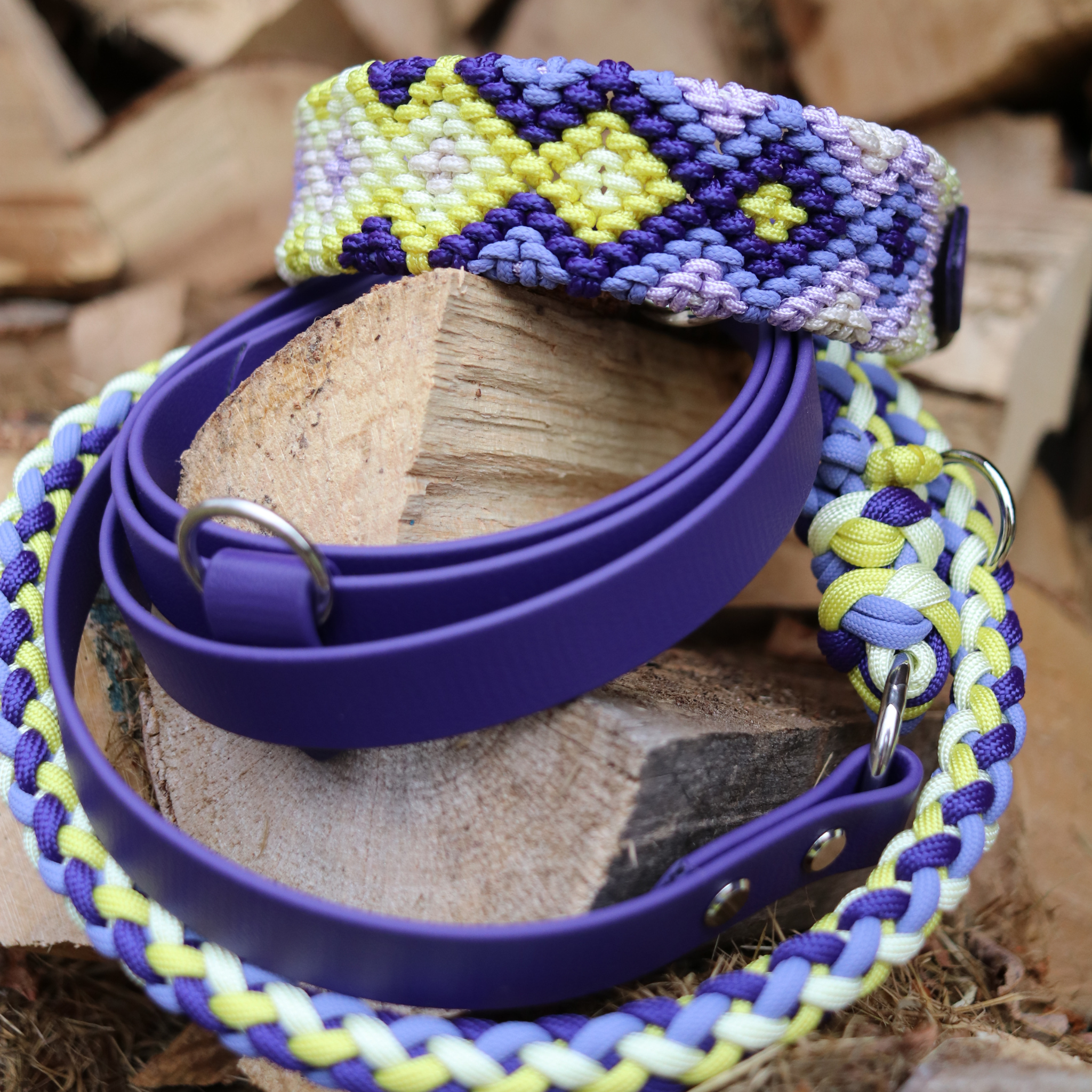 Brunos Frühlingskrokus