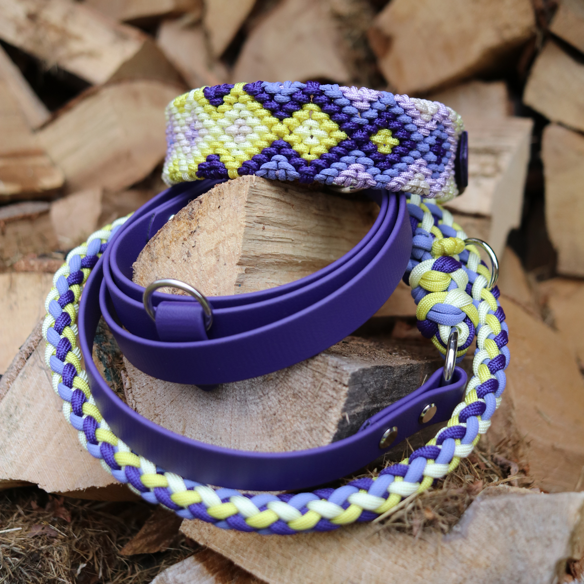 Brunos Frühlingskrokus