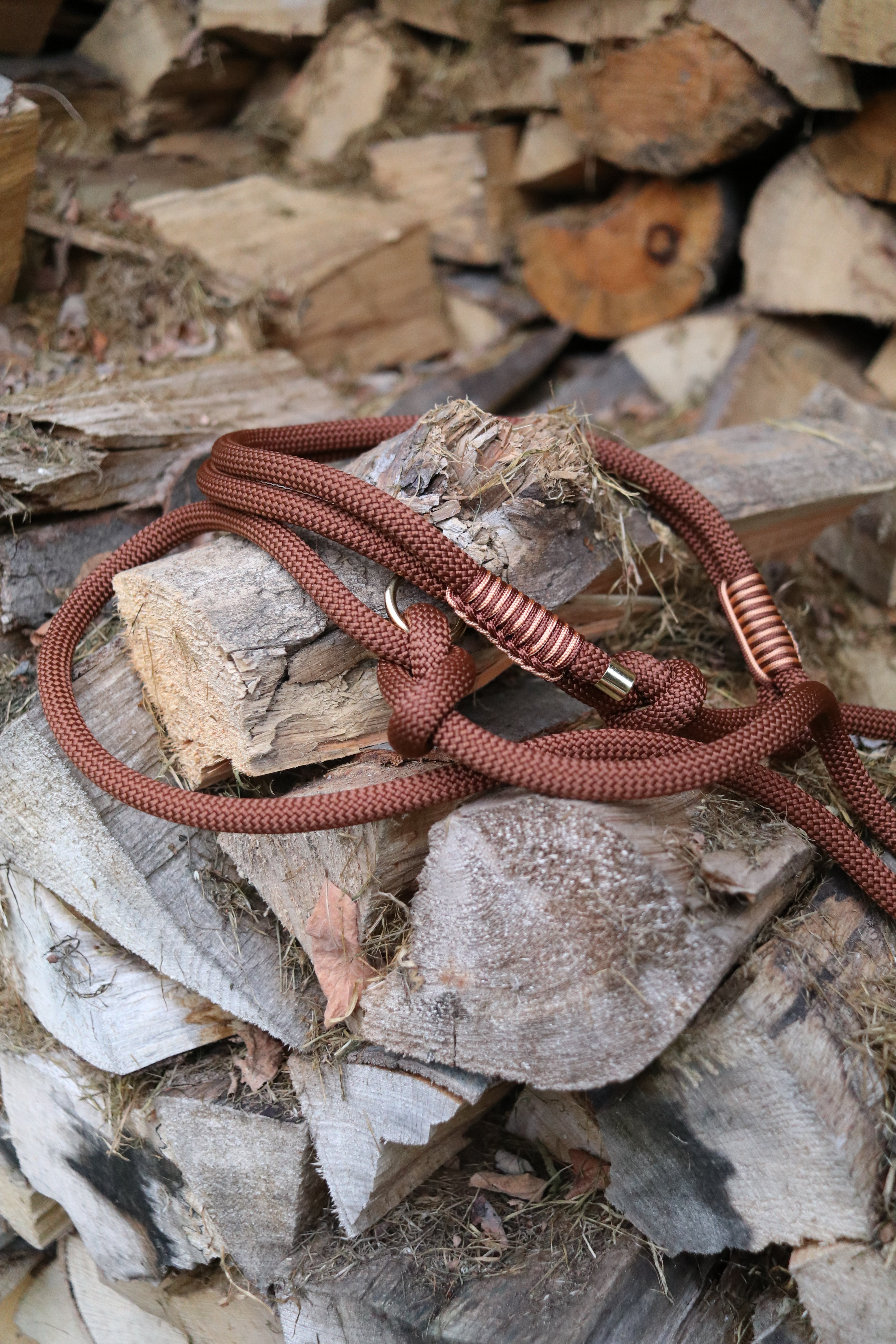 Retrieverleine Schoko mit Kupfer