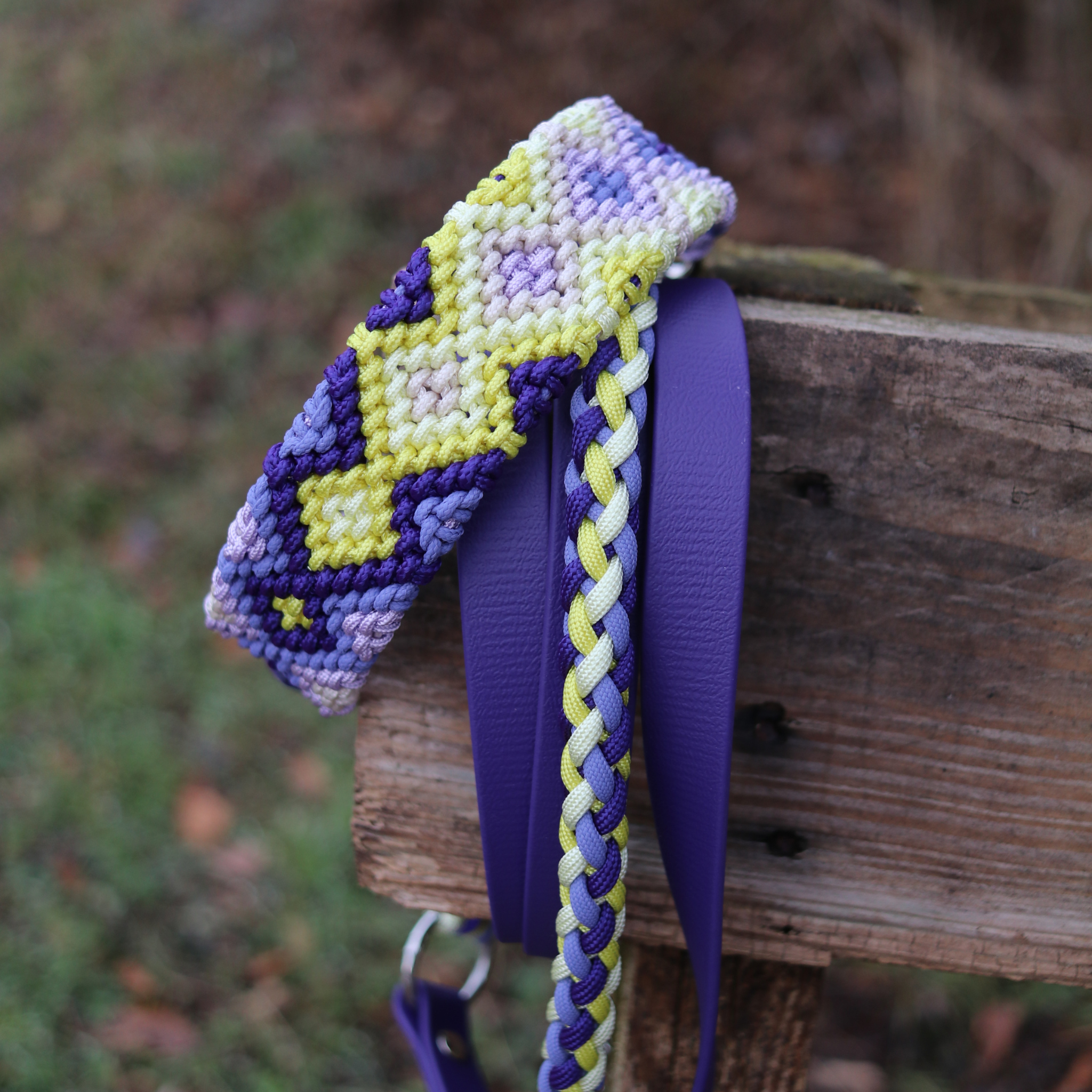 Brunos Frühlingskrokus