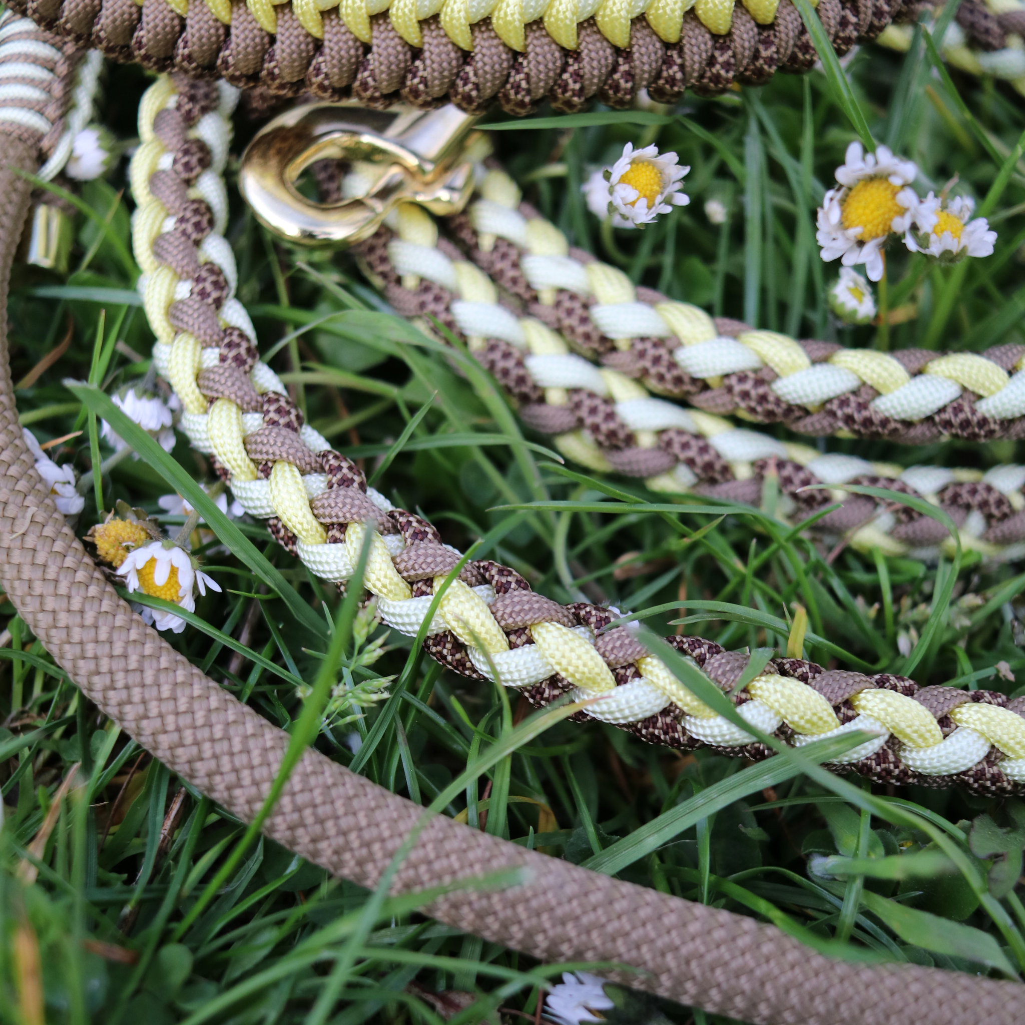 Bonez Buttercup Blossom
