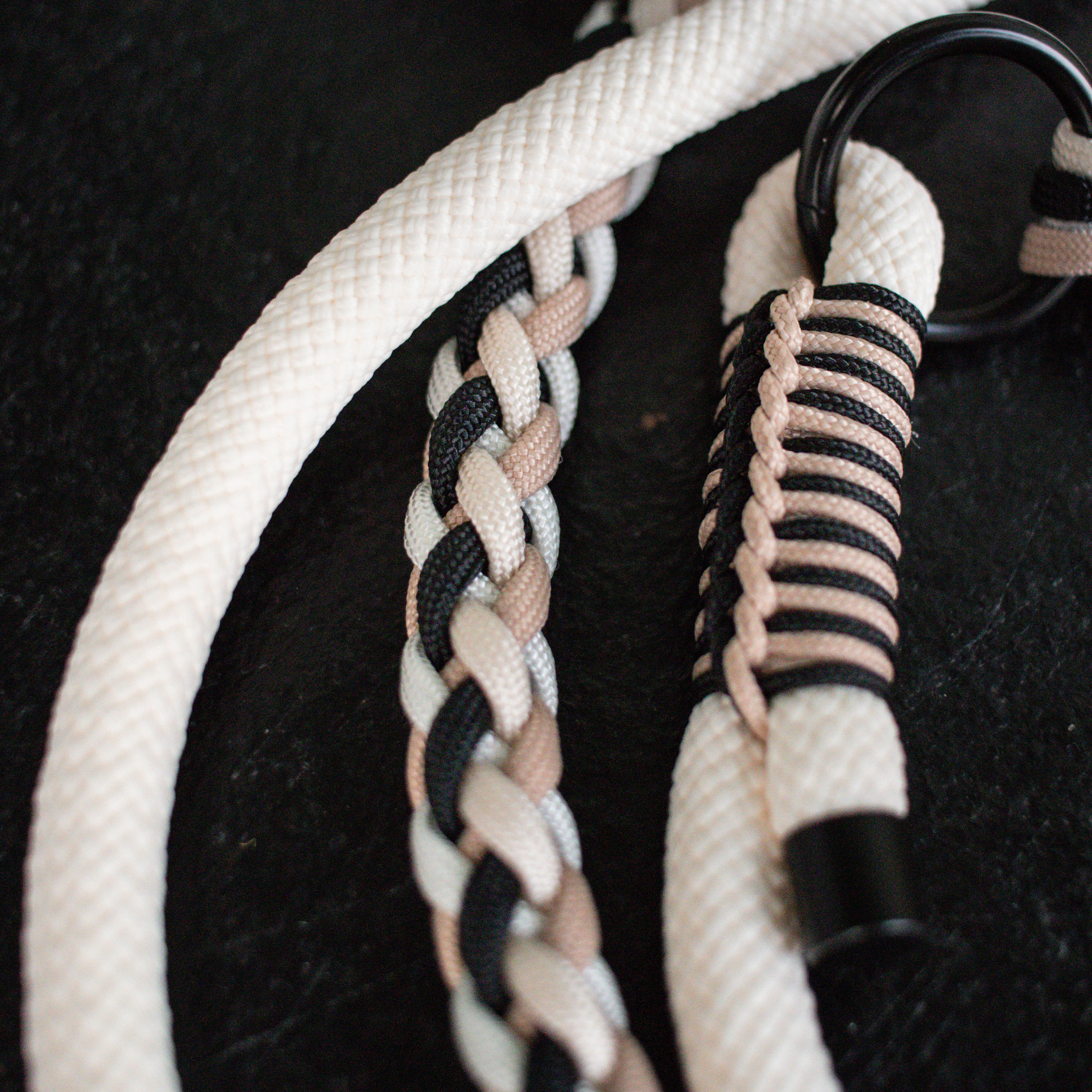 Paracord/Tau Leine in Schwarz und Cream