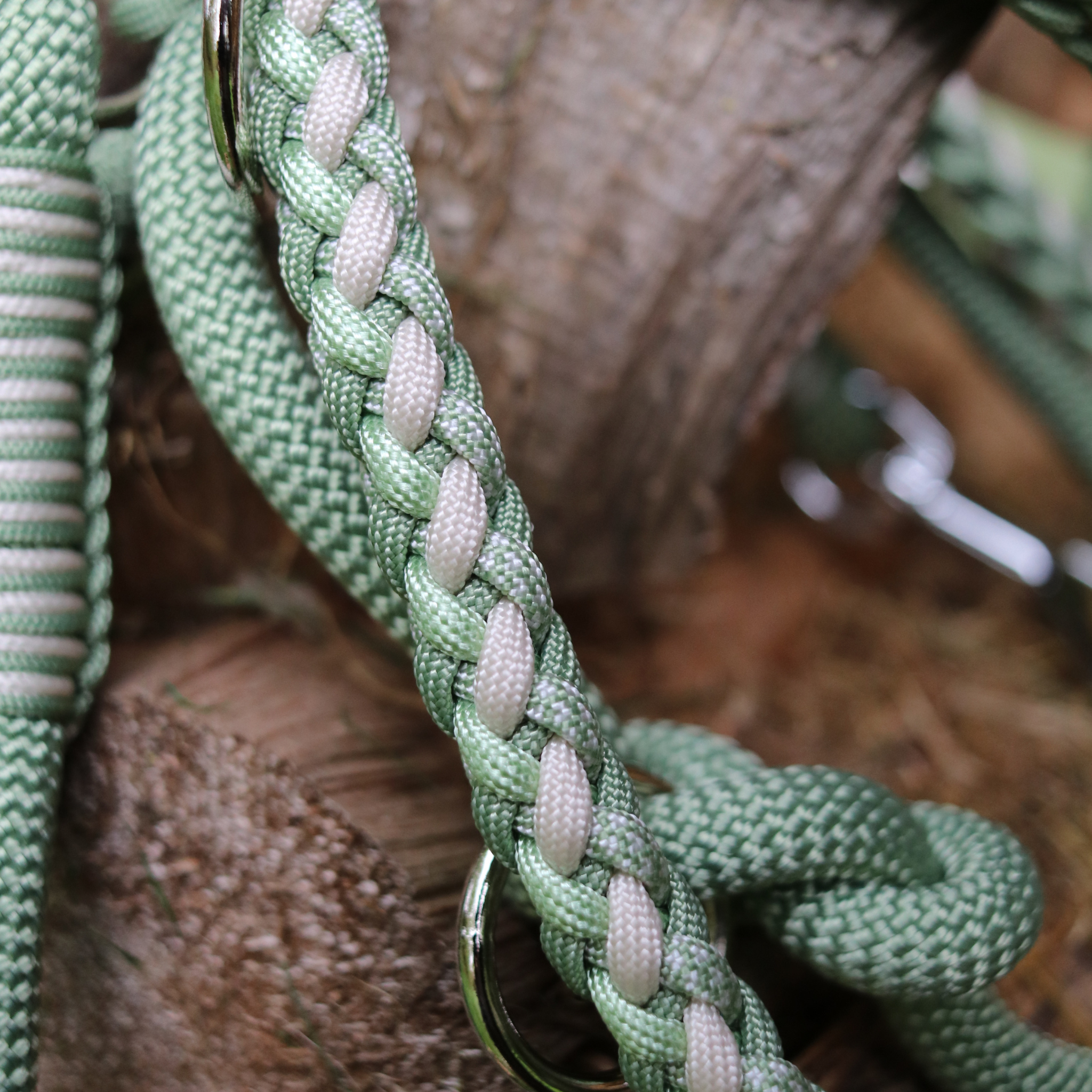 Paracord/Tau Leine "Gaucho" in Guacamole und Cream