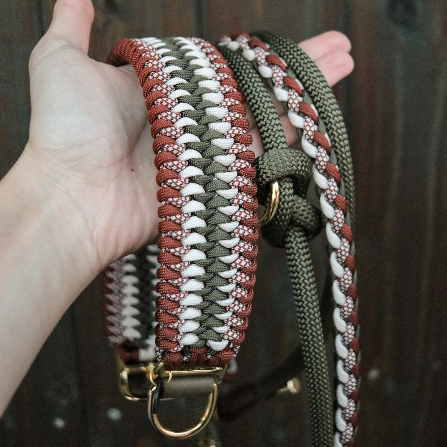Paracord/Tau Leine "Gaucho" in Olive und Schoko
