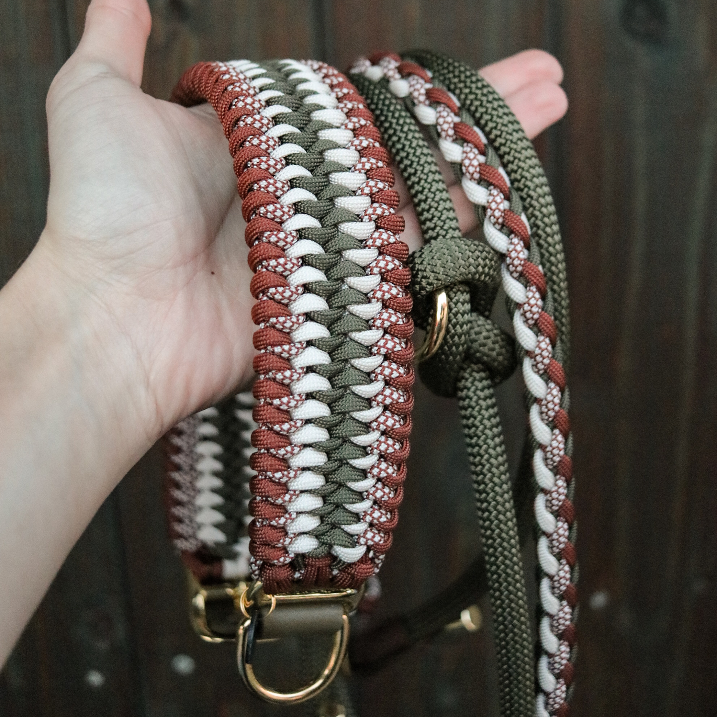 Paracord/Tau Leine in Olive und Schoko