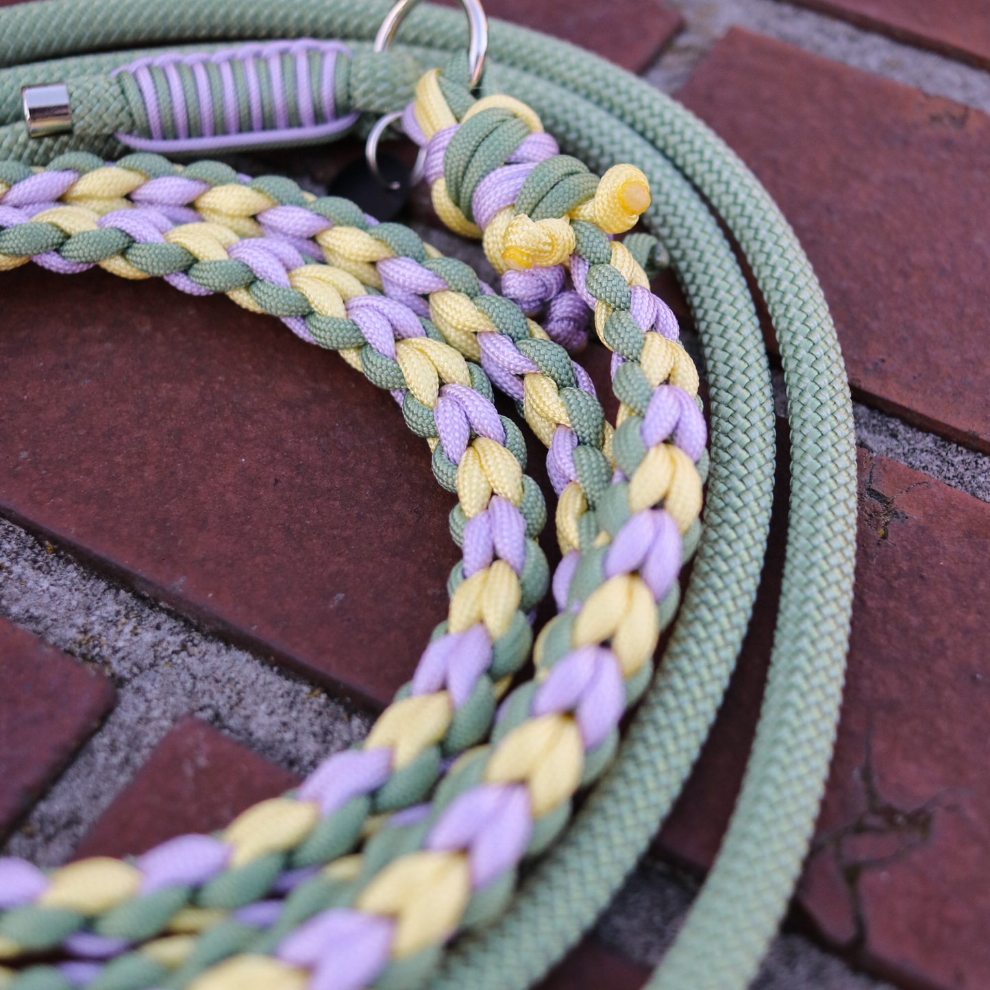 Paracord/Tau Leine für kleine Hunde in Guacamole und Gelb