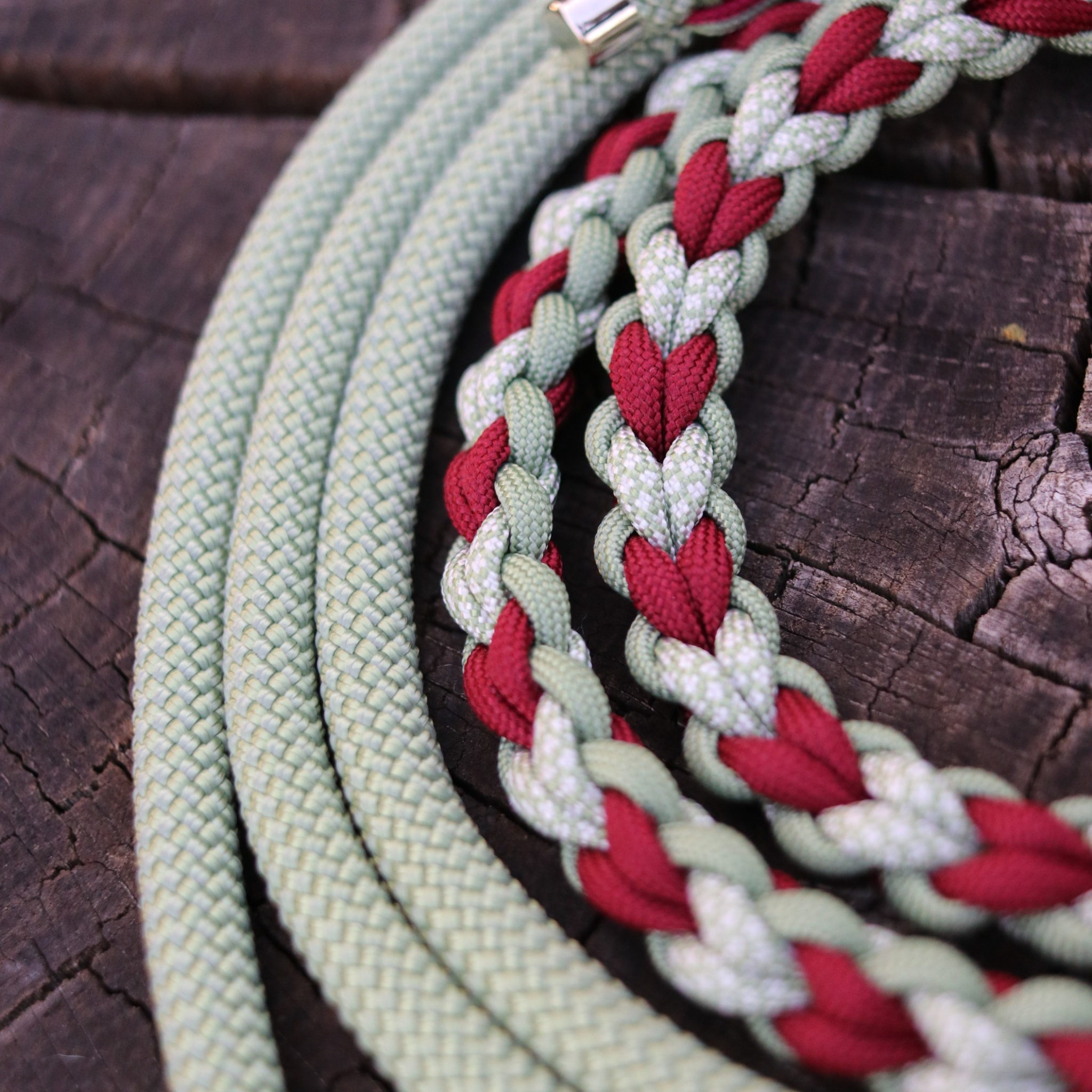 Paracord/Tau Leine für kleine Hunde in Rot und Guacamole