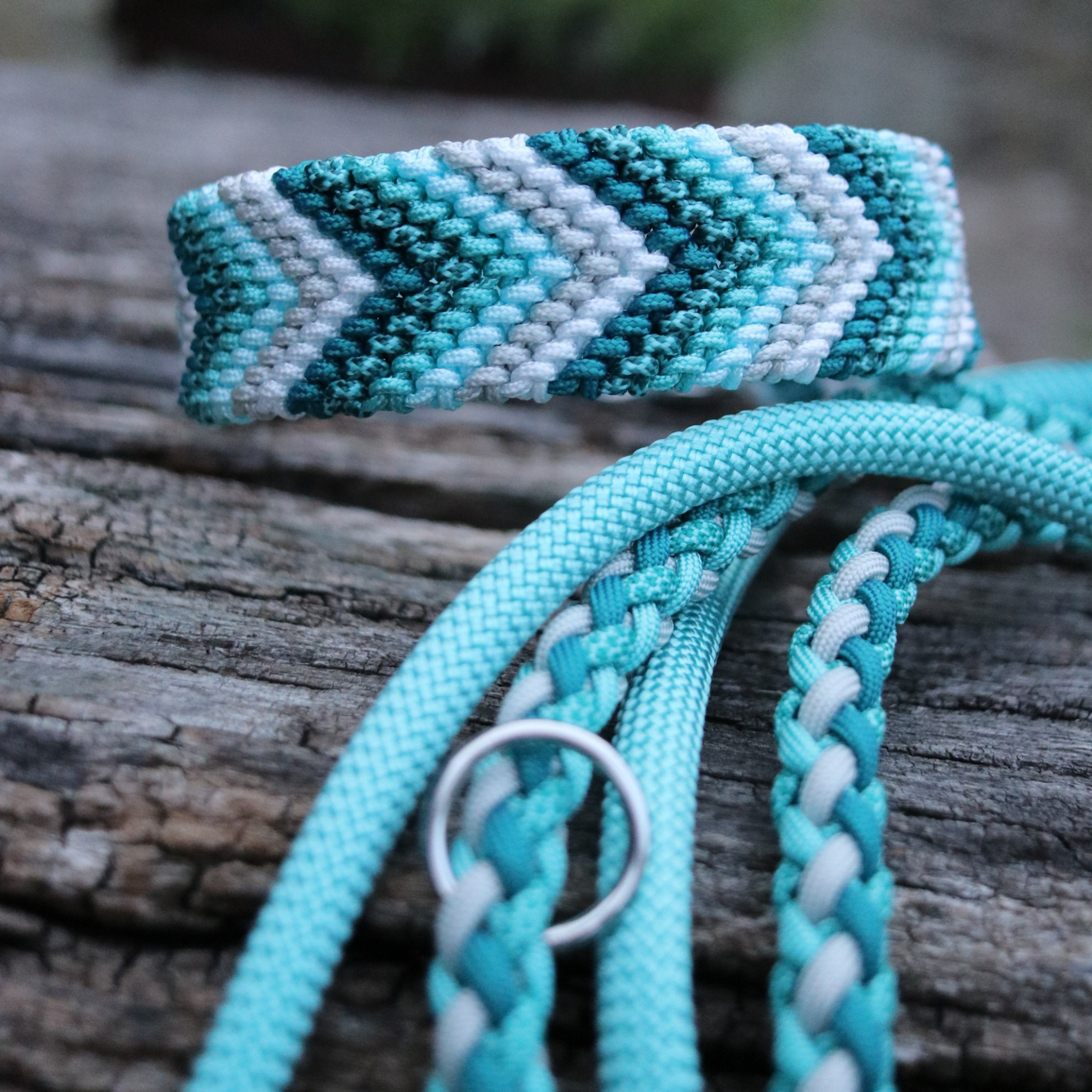 Paracord/Tau Leine "Gaucho" in Türkis und Silber