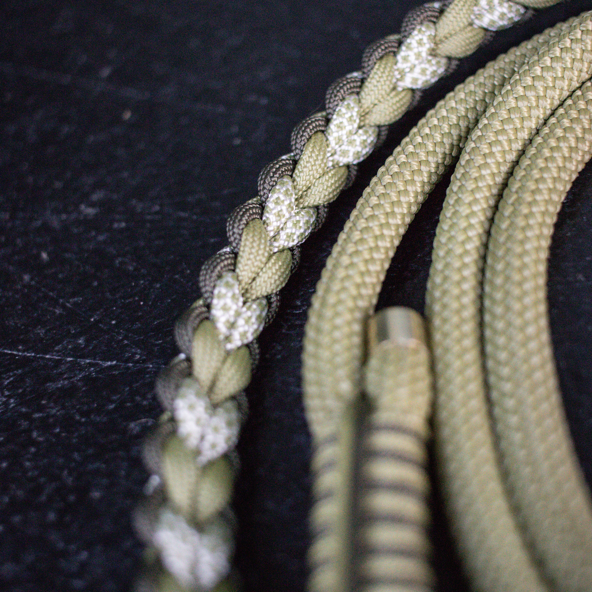 Sei Kreativ - Paracord/Tau Leine für kleine Hunde