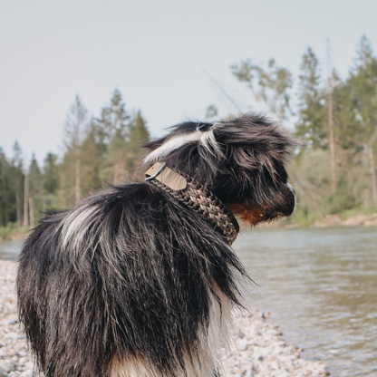 Paracordhalsband "Juno" in Olive und Walnuss