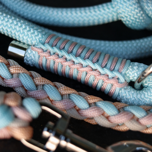 Paracord/Tau Leine in Pastellblau und Rosa