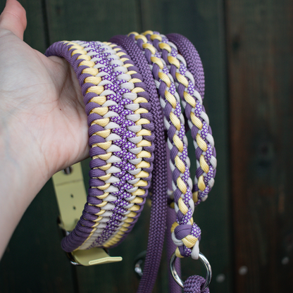 Paracord/Tau Leine in Lila und Gelb