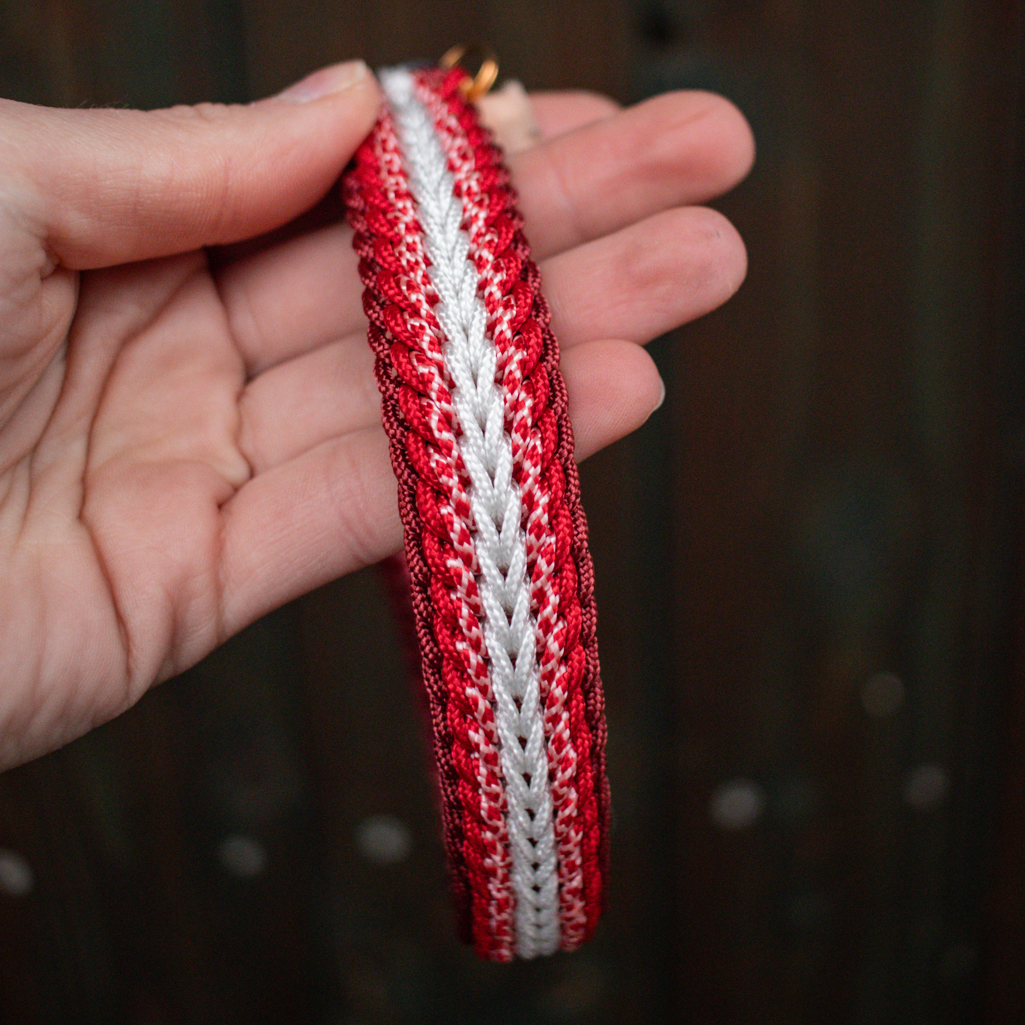 Paracordhalsband "Shining" Typ 1 in Rottönen