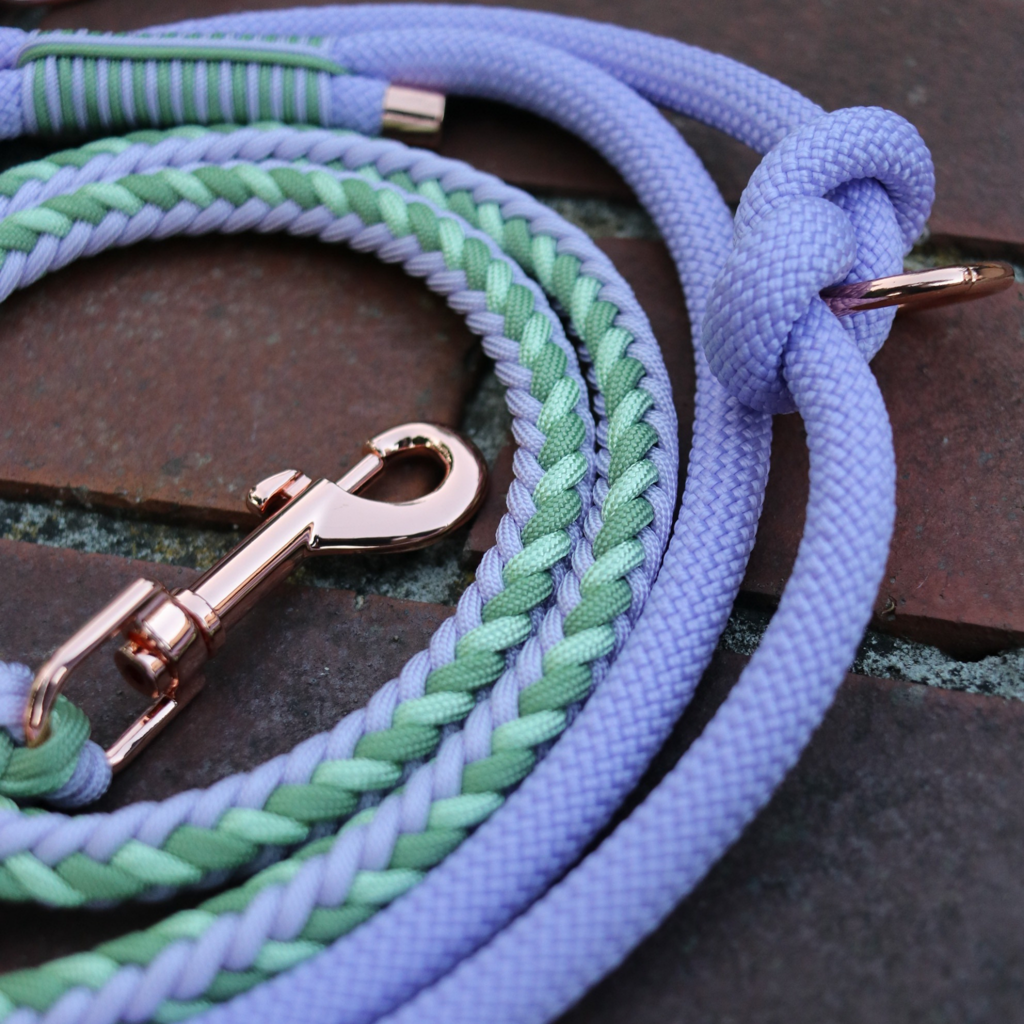 Paracord/Tau Leine "Herringbone" in Lila und Grün