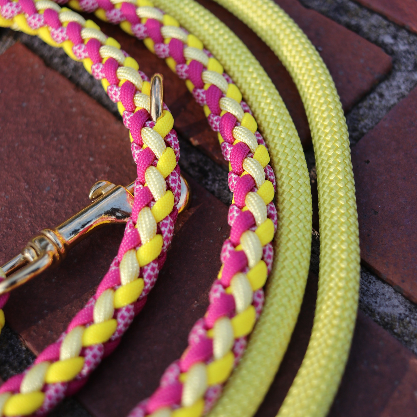Paracord/Tau Leine "Gaucho" in Fuchsia und Gelb