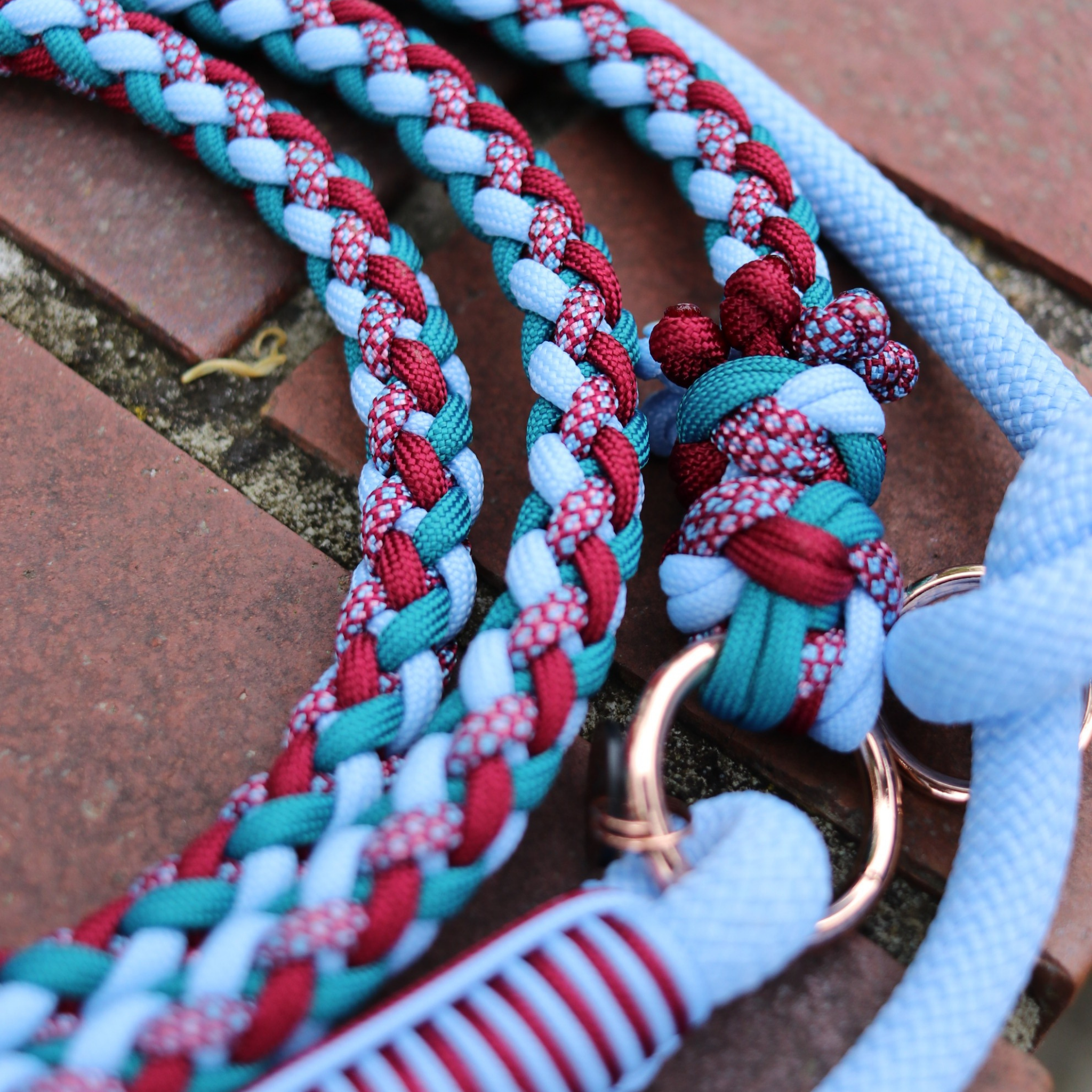 Paracord/Tau Leine "Gaucho" in Türkis und Weinrot