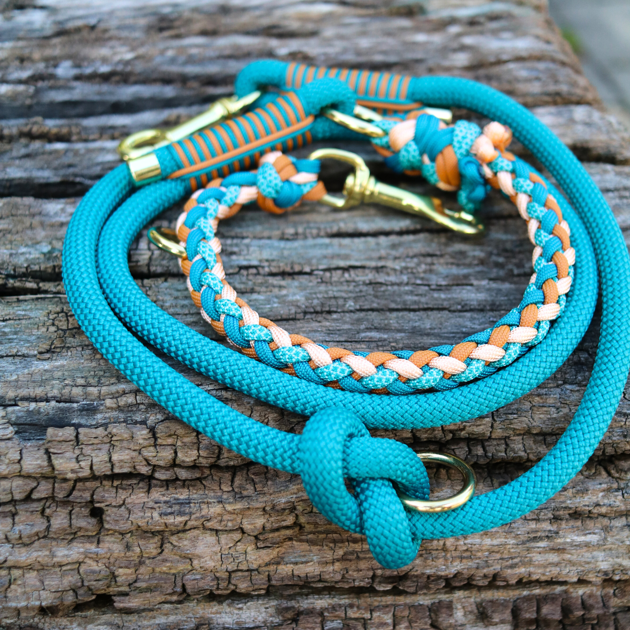 Paracord/Tau Leine "Gaucho" in Teal und Mustard