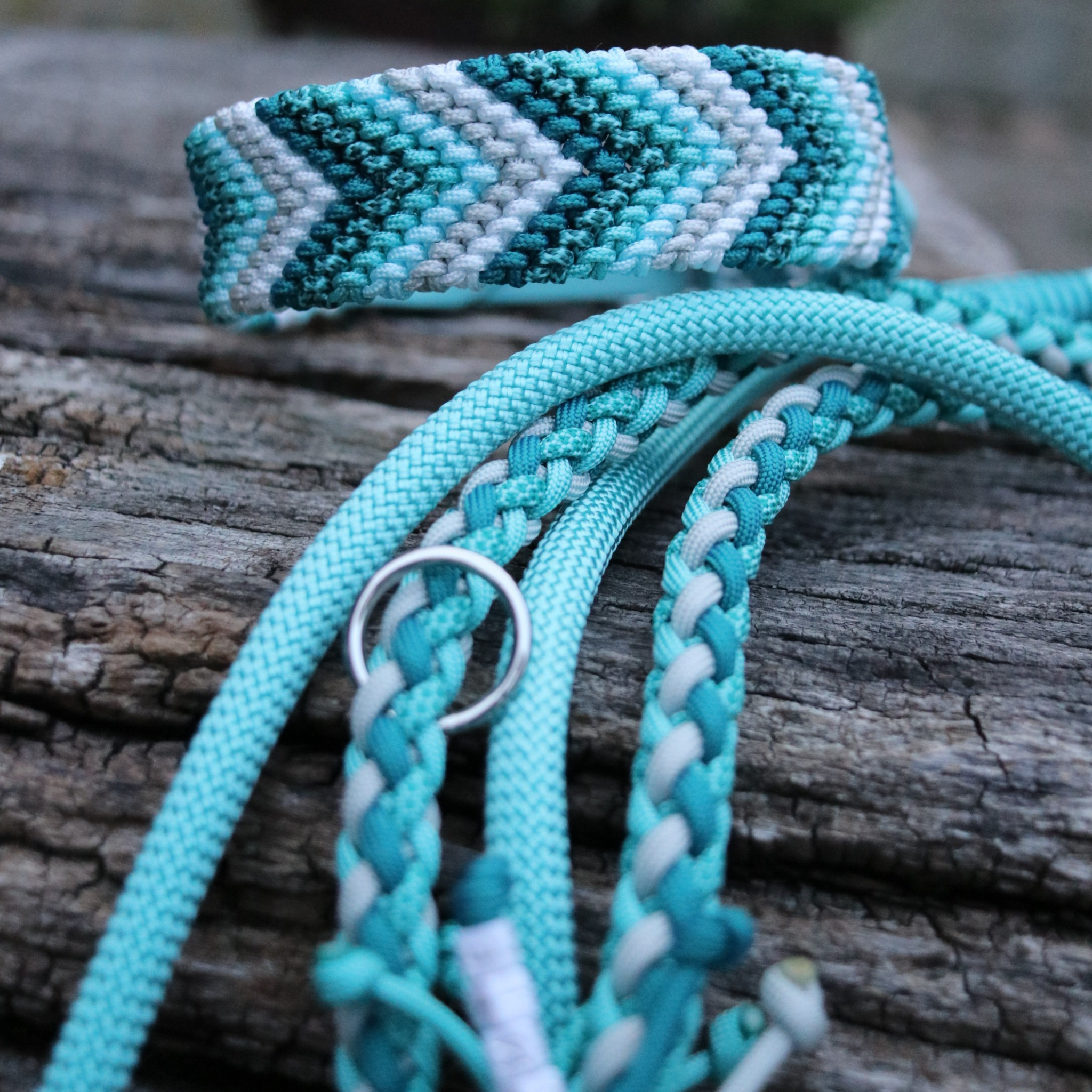 Paracord/Tau Leine "Gaucho" in Türkis und Silber