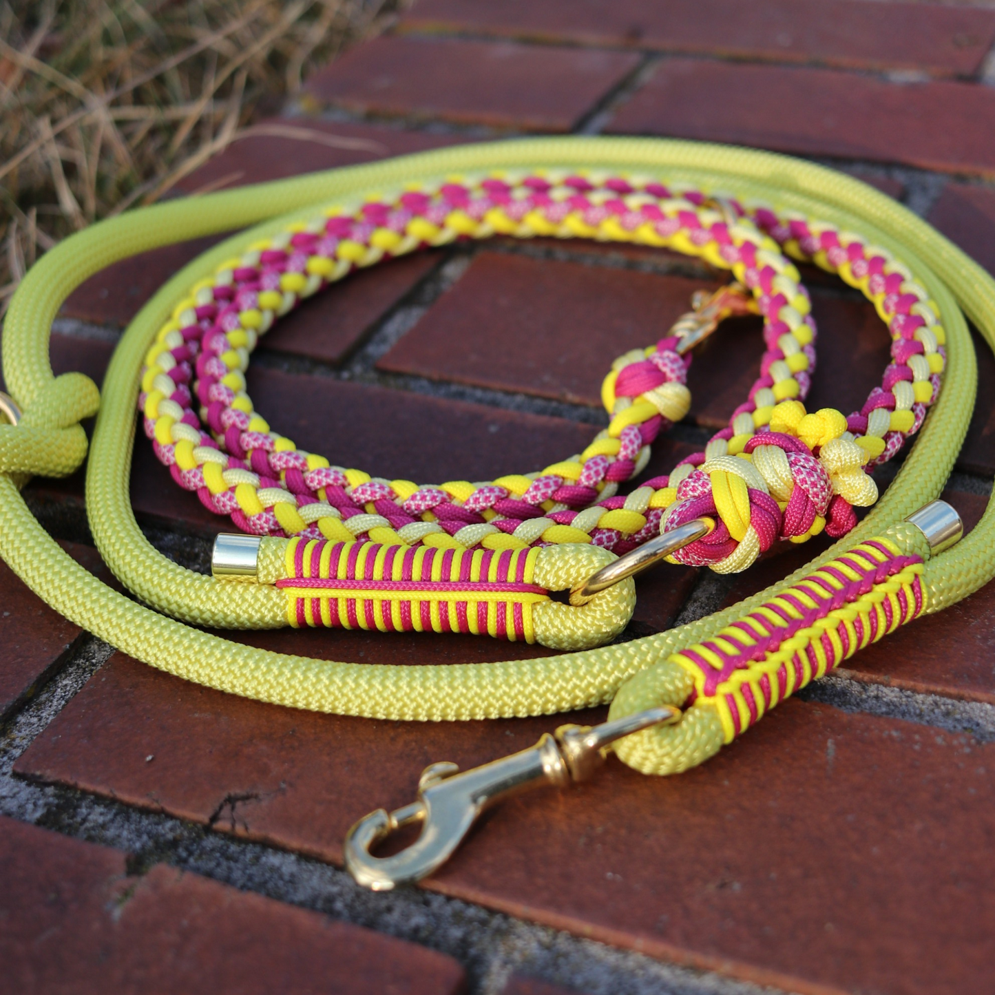 Paracord/Tau Leine "Gaucho" in Fuchsia und Gelb