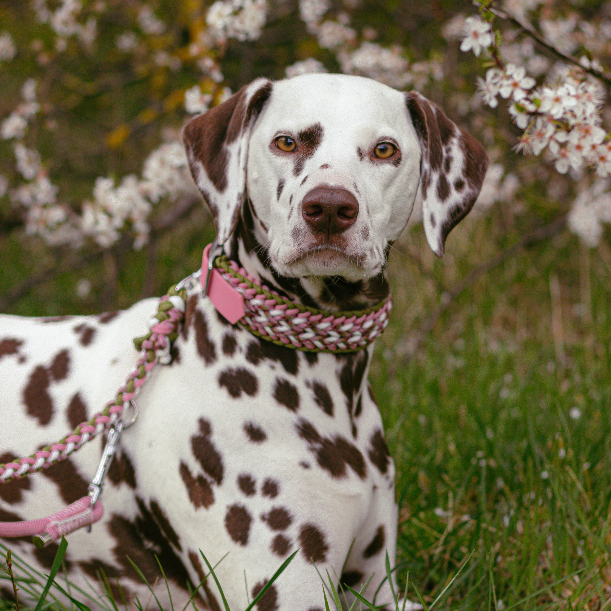 Paracordhalsband "Juno" in Rosa und Moos