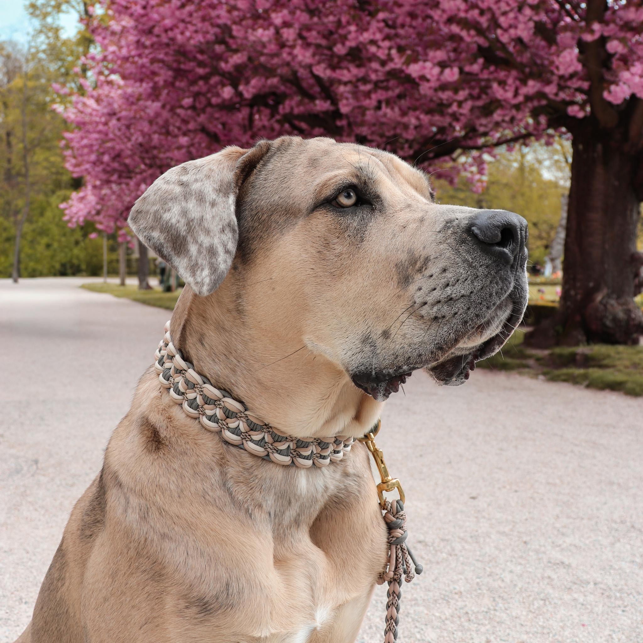 Paracordhalsband "Blossom Dreams" in Beige und Grau