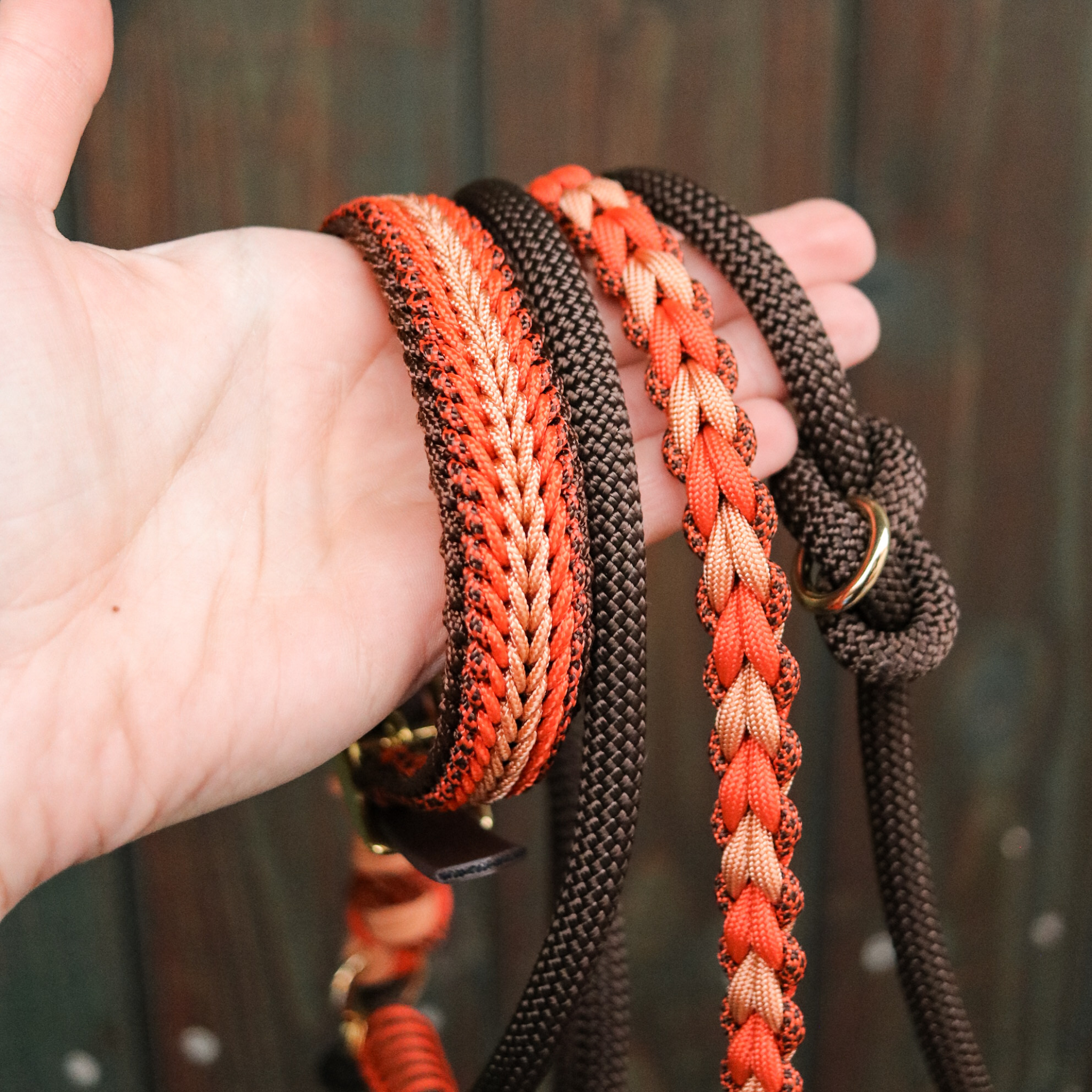 Paracord/Tau Leine für kleine Hunde in Orange und Walnuss