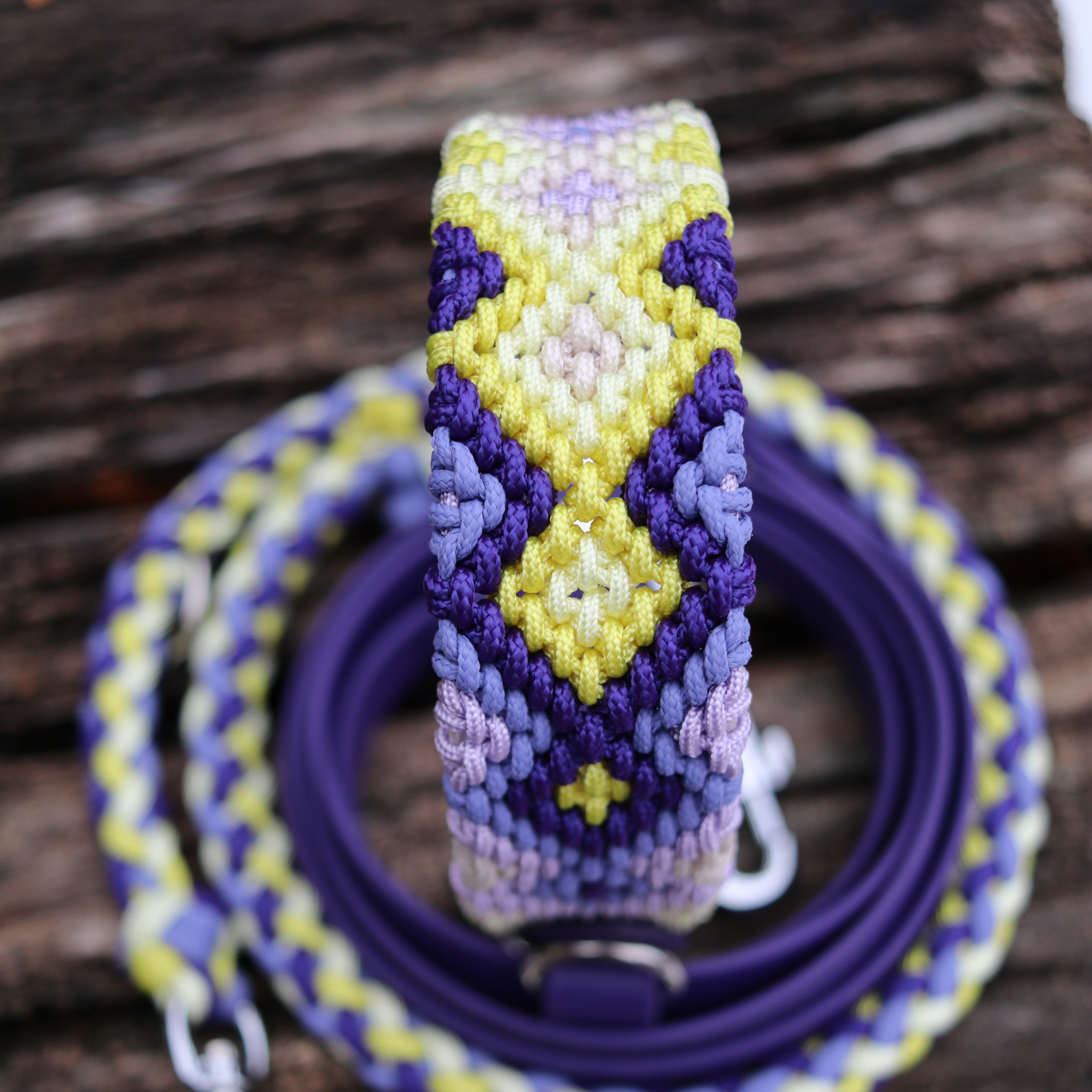 Brunos Frühlingskrokus