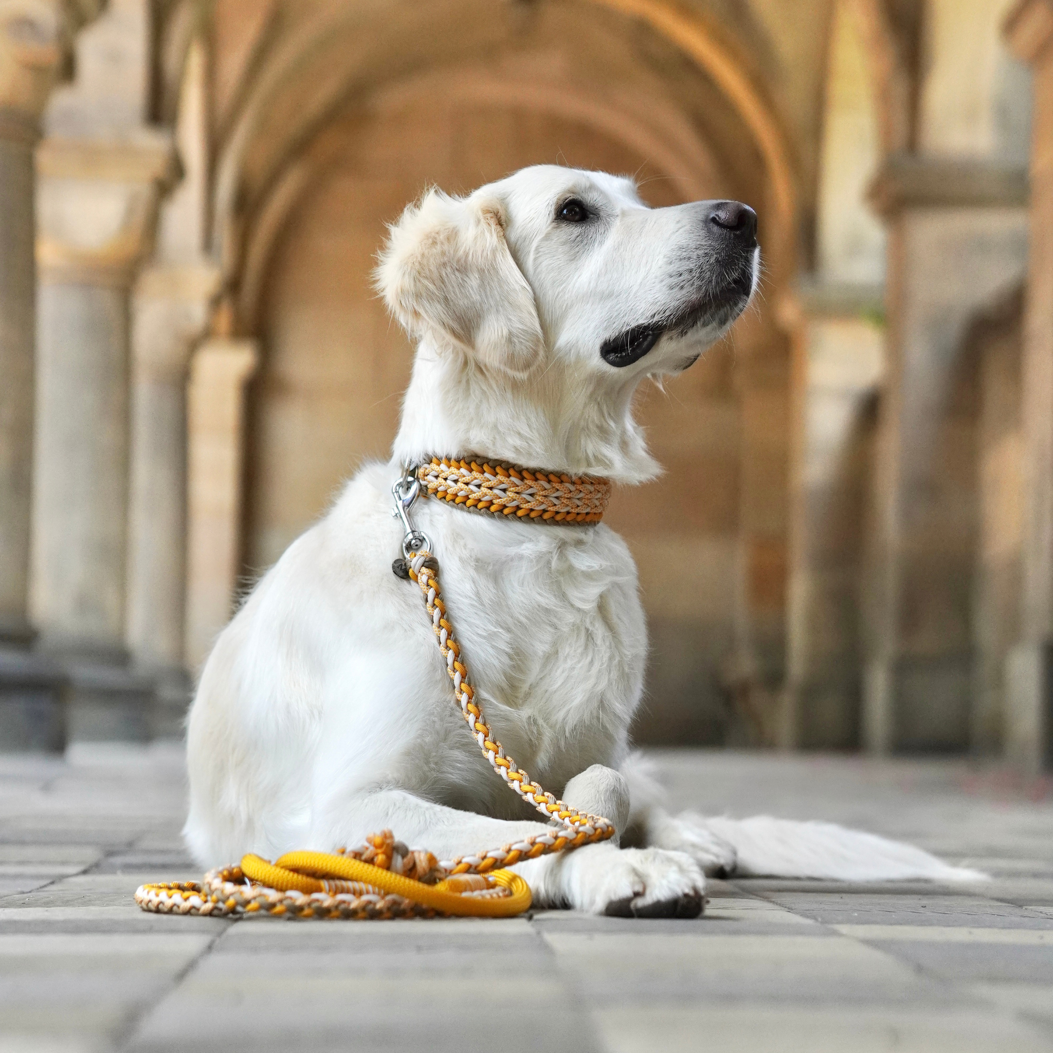 Paracordhalsband "Juno" in Goldbraun und Ocker