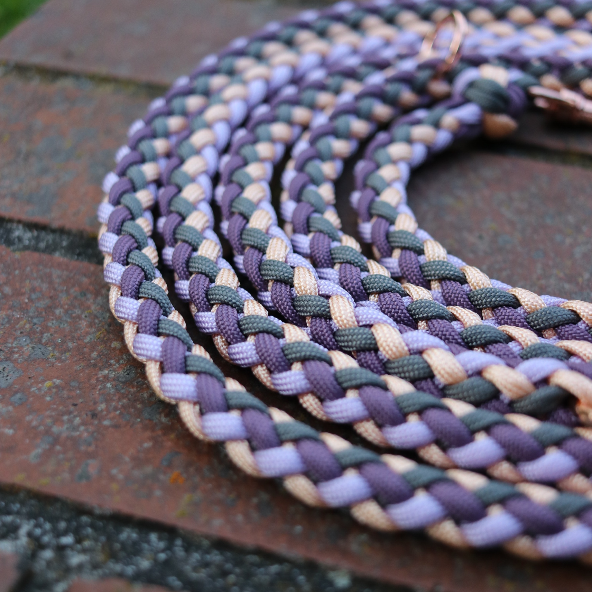 Paracordleine "Gaucho"  in Mauve und Dunkelgrau