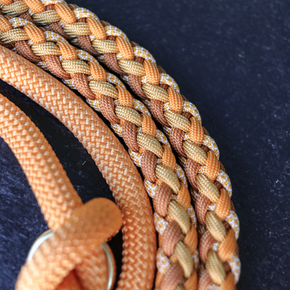 Paracord/Tau Leine in Apricot und Amber