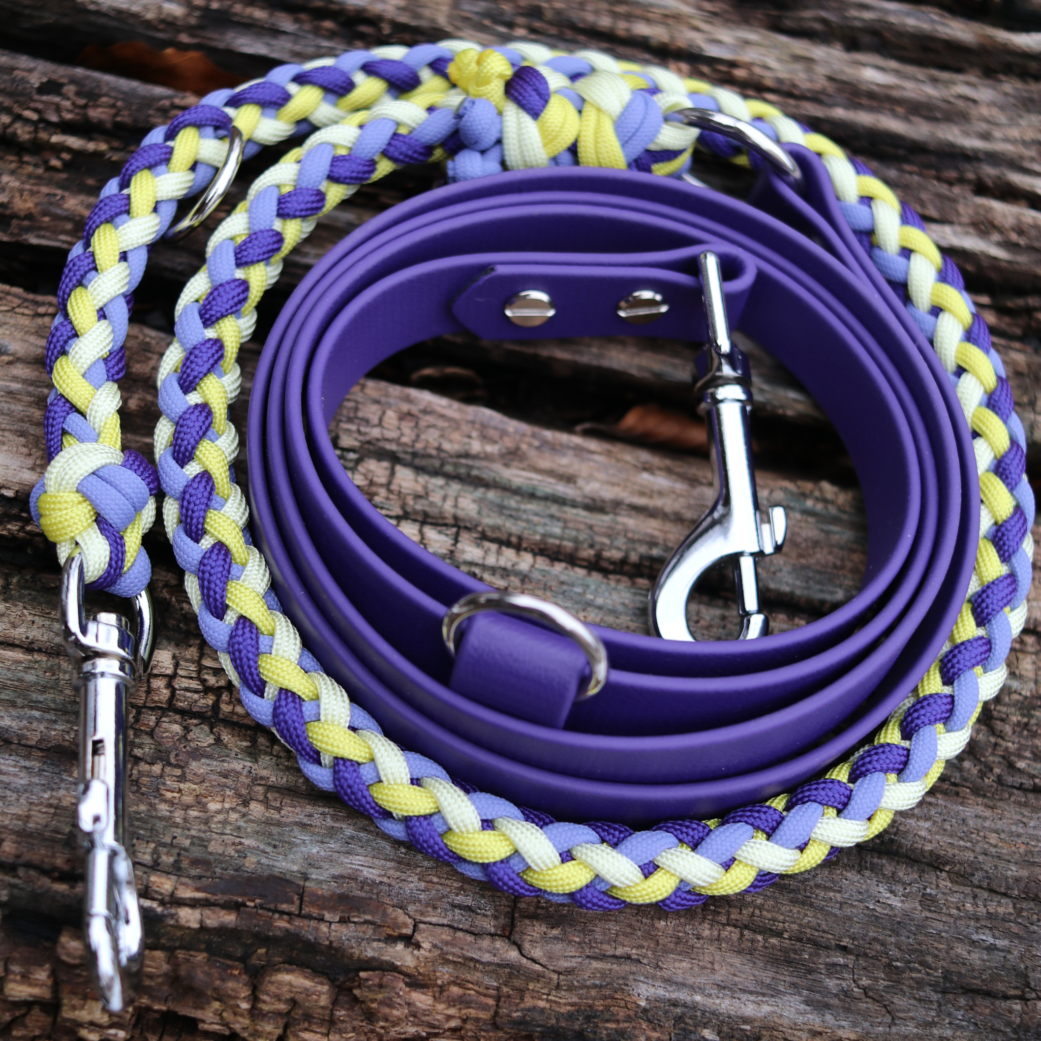 Brunos Frühlingskrokus