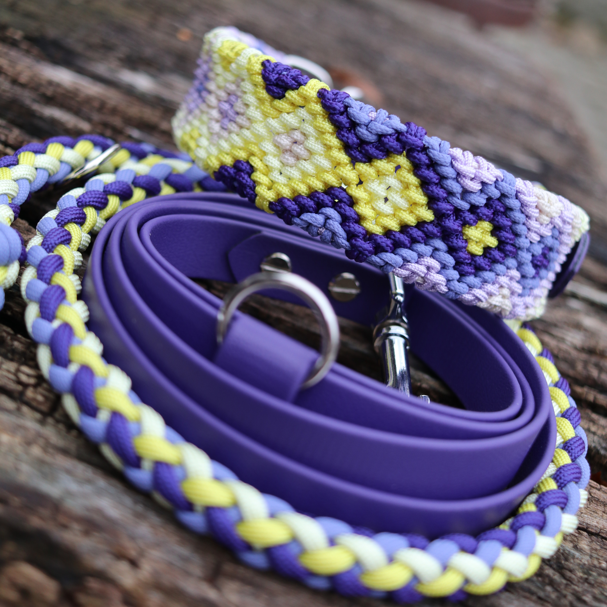 Brunos Frühlingskrokus