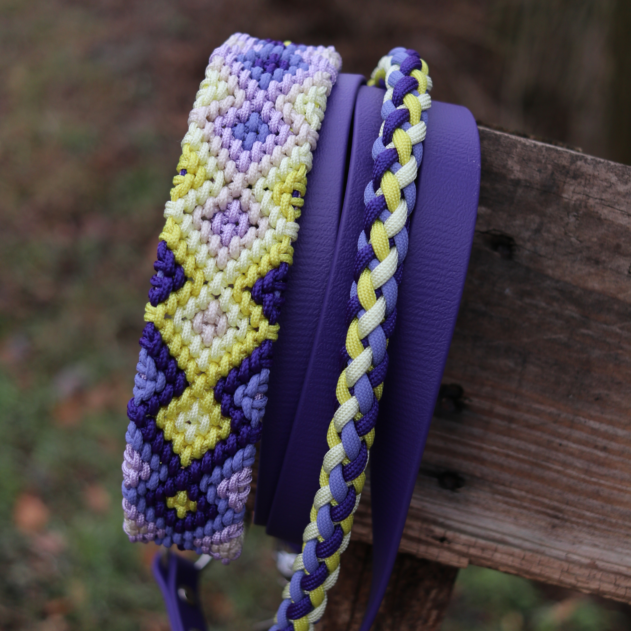 Brunos Frühlingskrokus